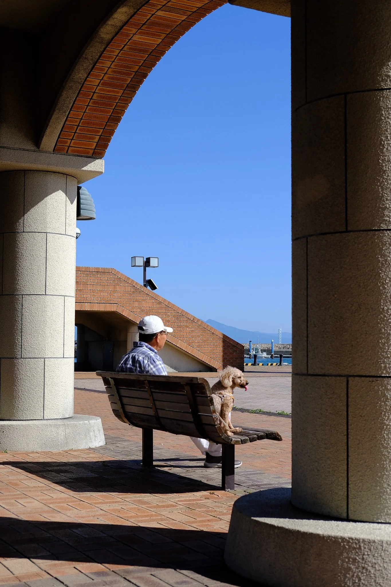 shizuoka-man-dog-bench.jpg