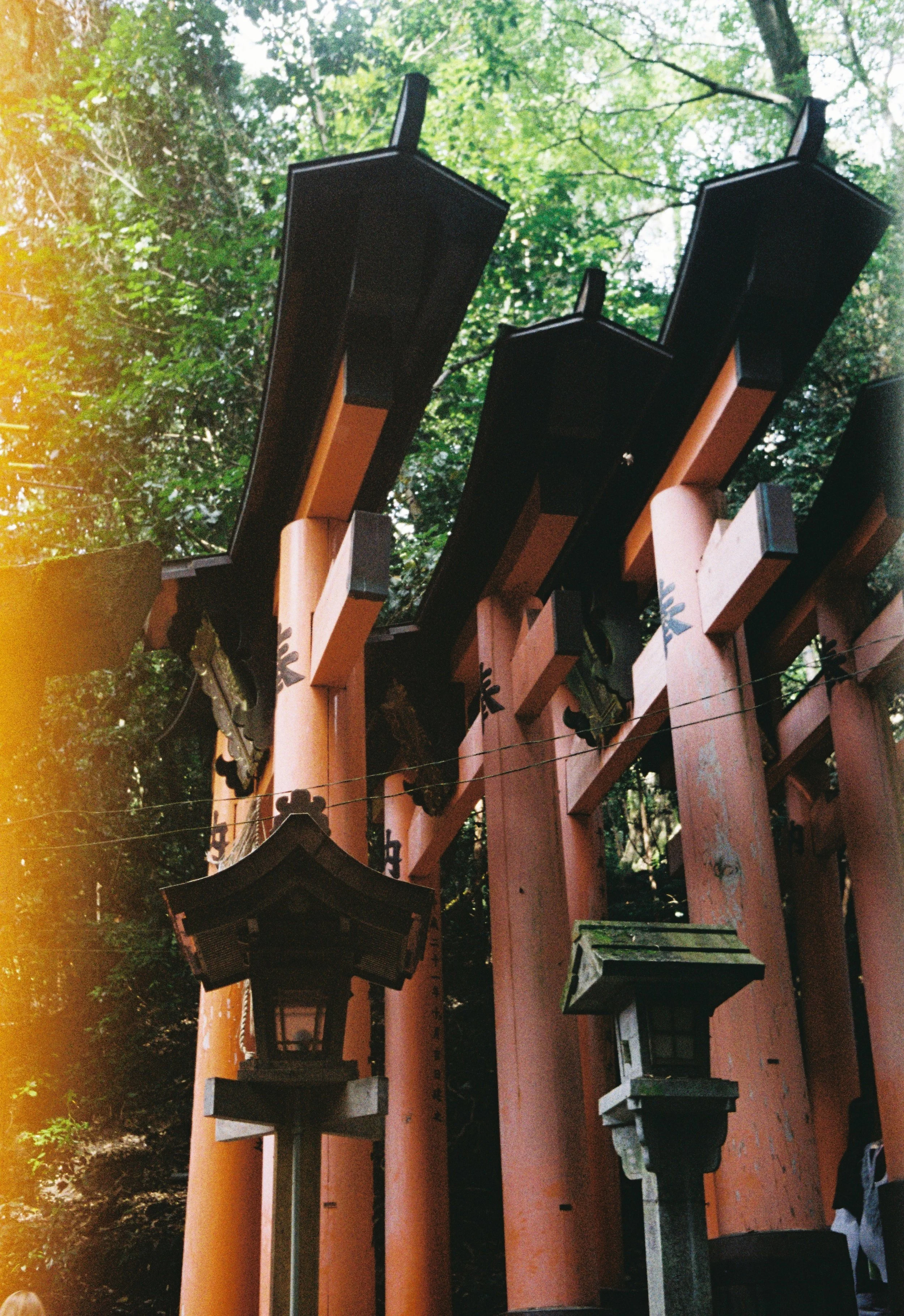 Torii gates at Fushimi Inari Shrine photographed on 35mm Kodak Gold 200 film.