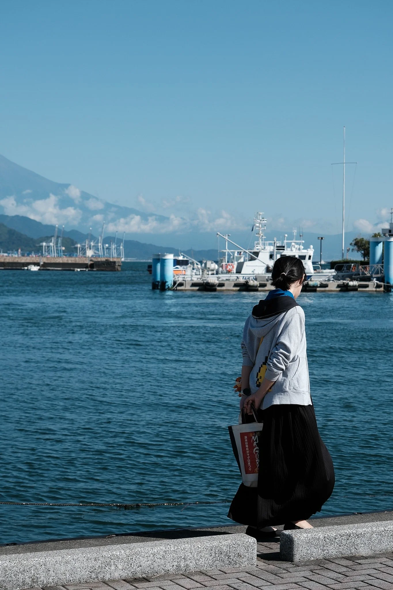 mount-fuji-harbor-friends.jpg