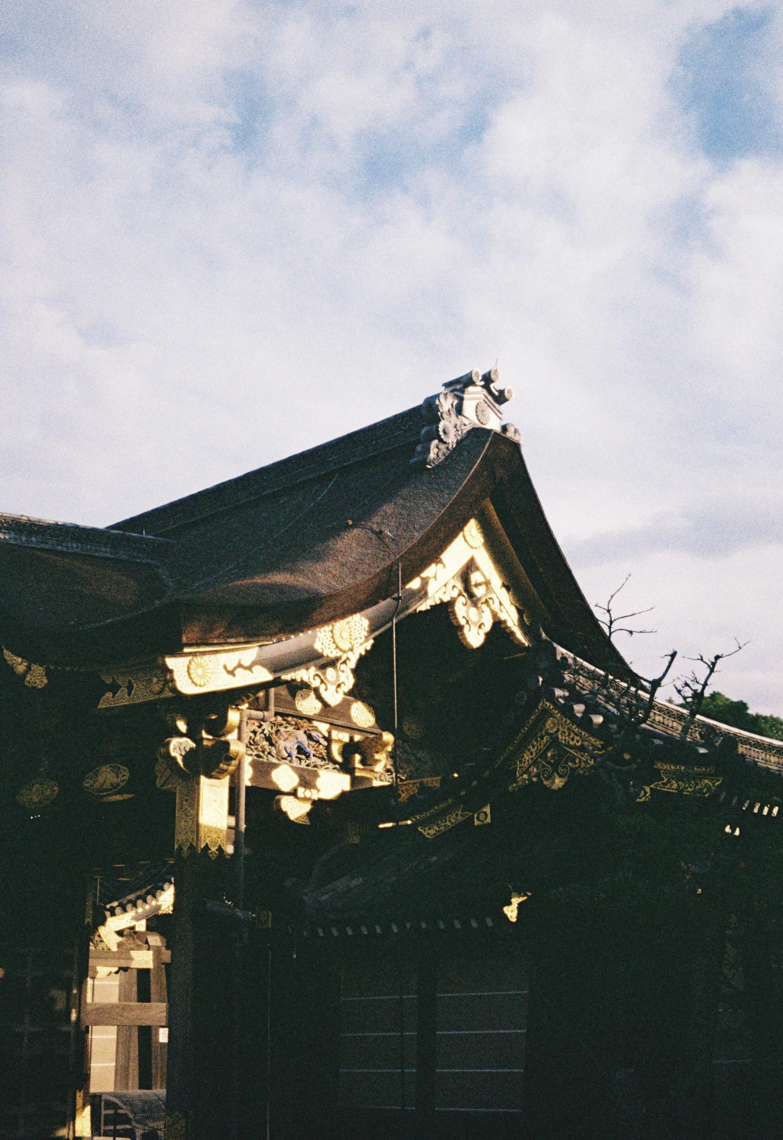 Traditional temple roof glowing under afternoon light in Kyoto on analog film.