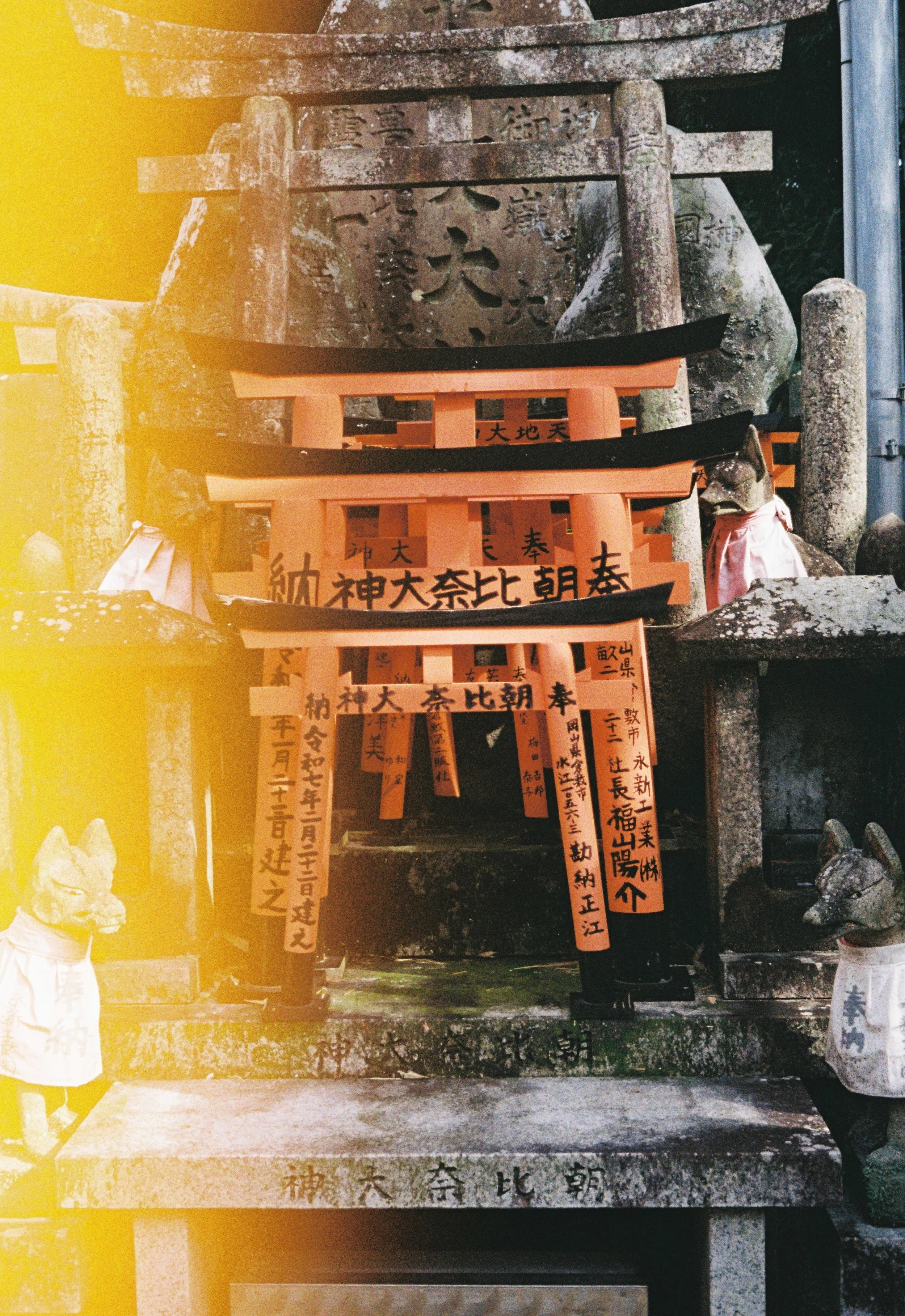 Small torii shrine surrounded by fox statues in Kyoto captured on analog film.