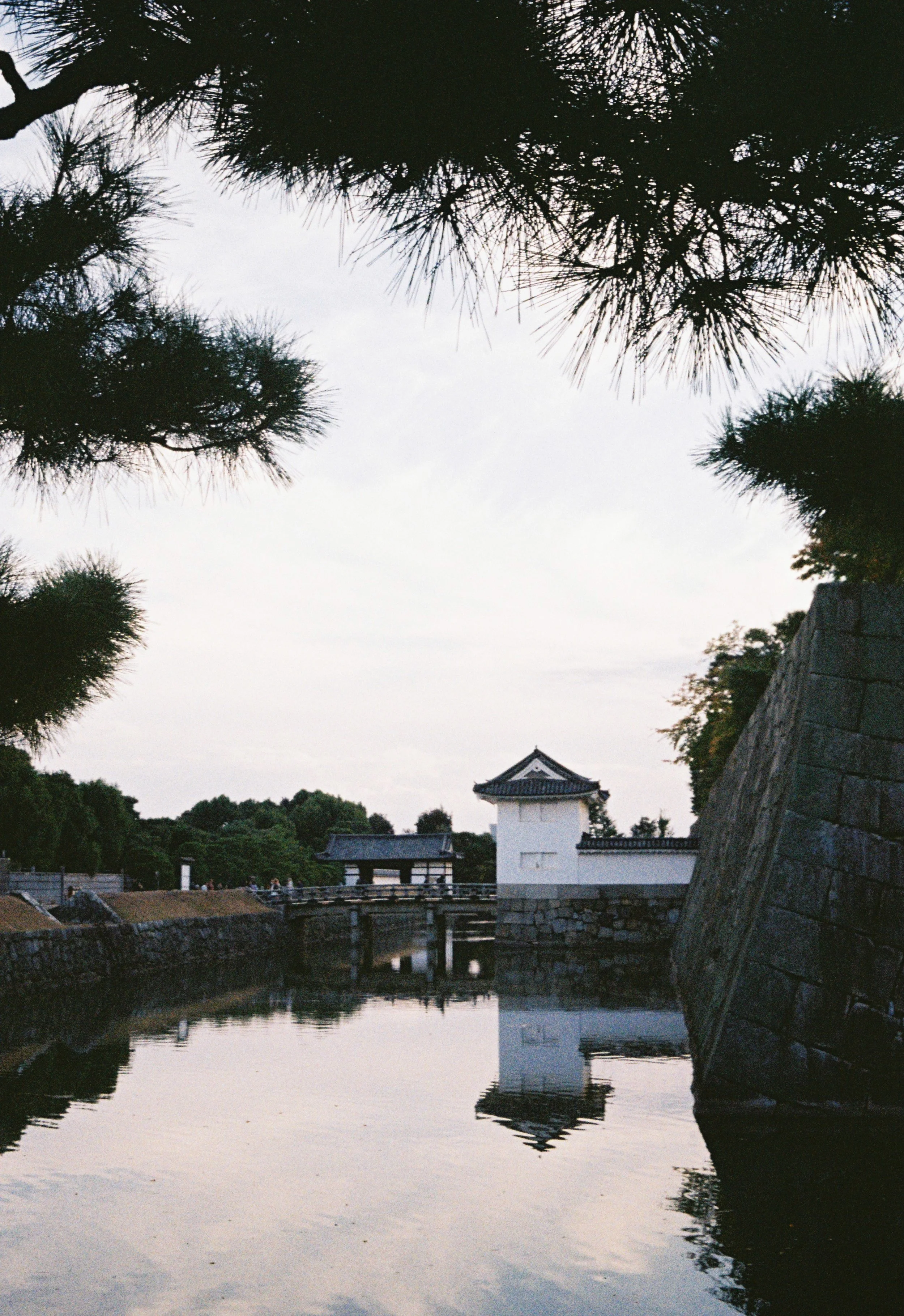 Moat reflection near a historic Japanese castle captured on Kodak Gold 200 film.