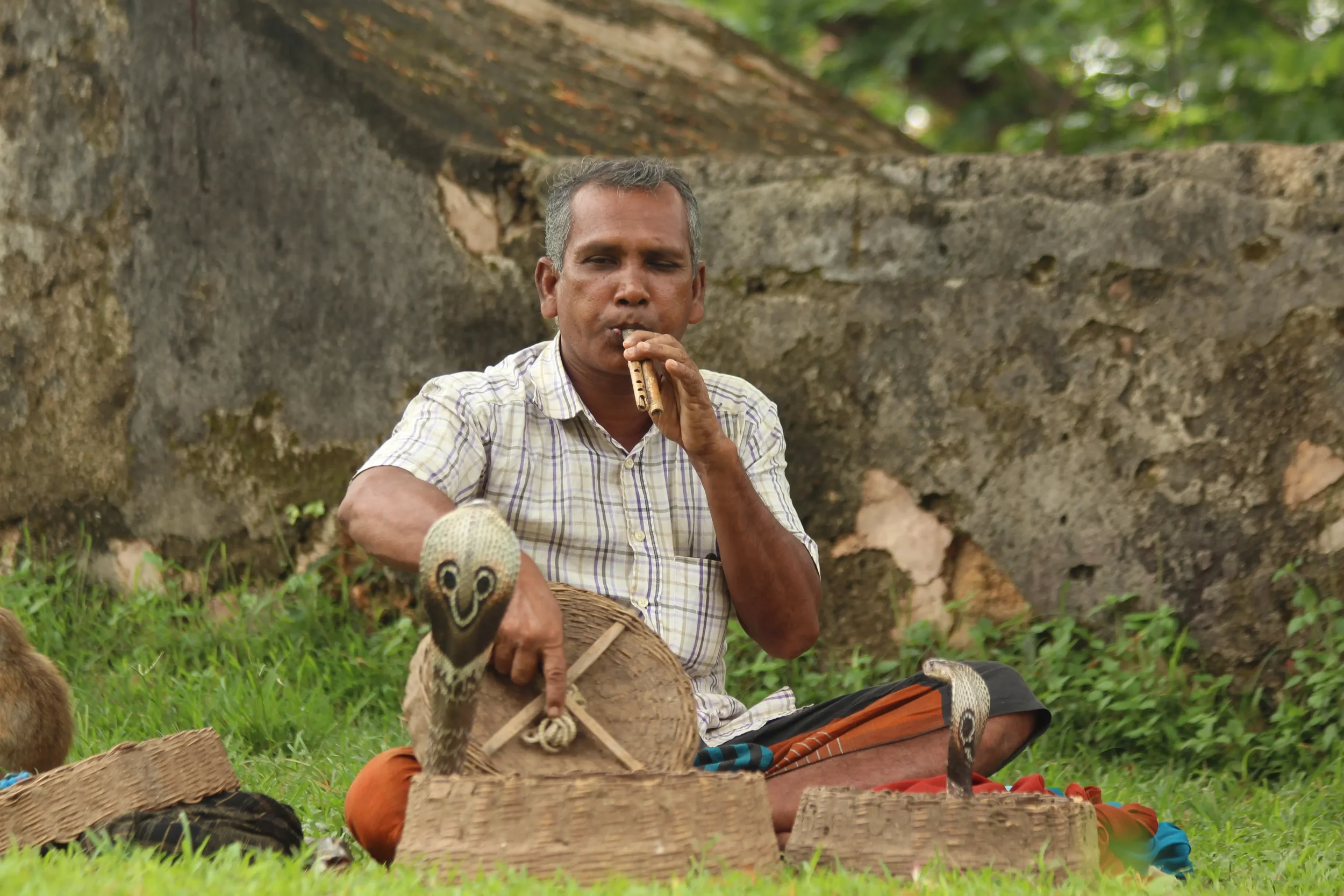 Sri Lanka Unscripted: Chaos, Culture &amp; Coastlines