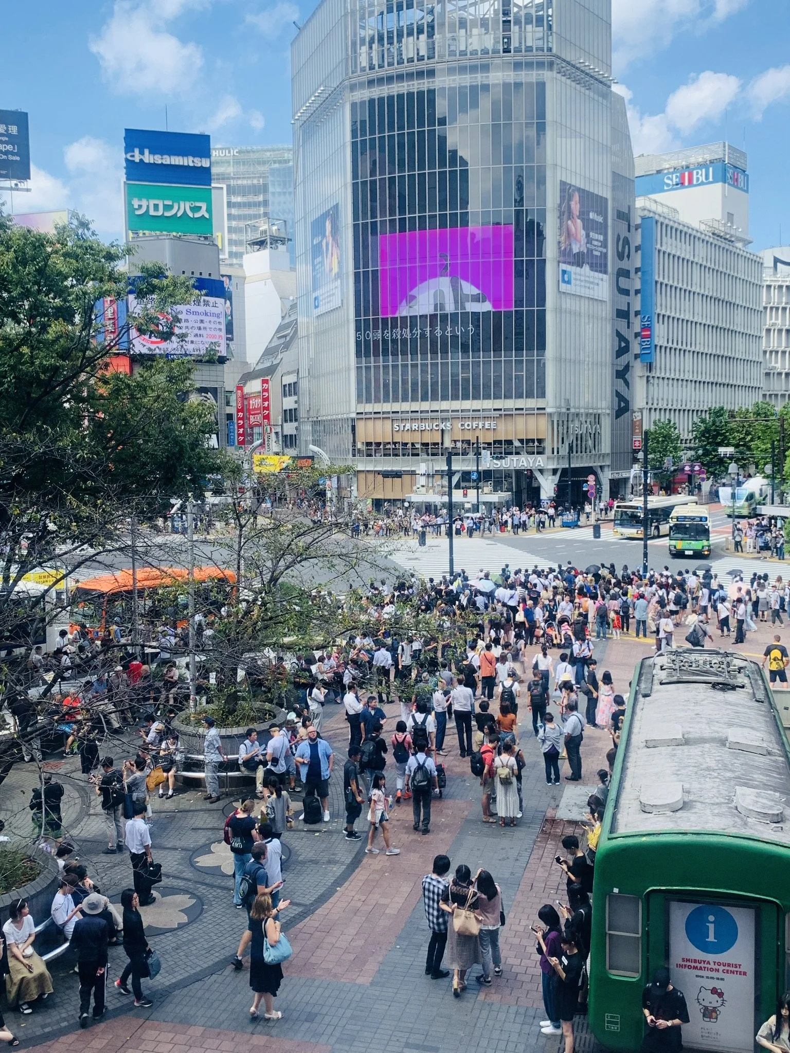 crossing toyoko JM.jpeg