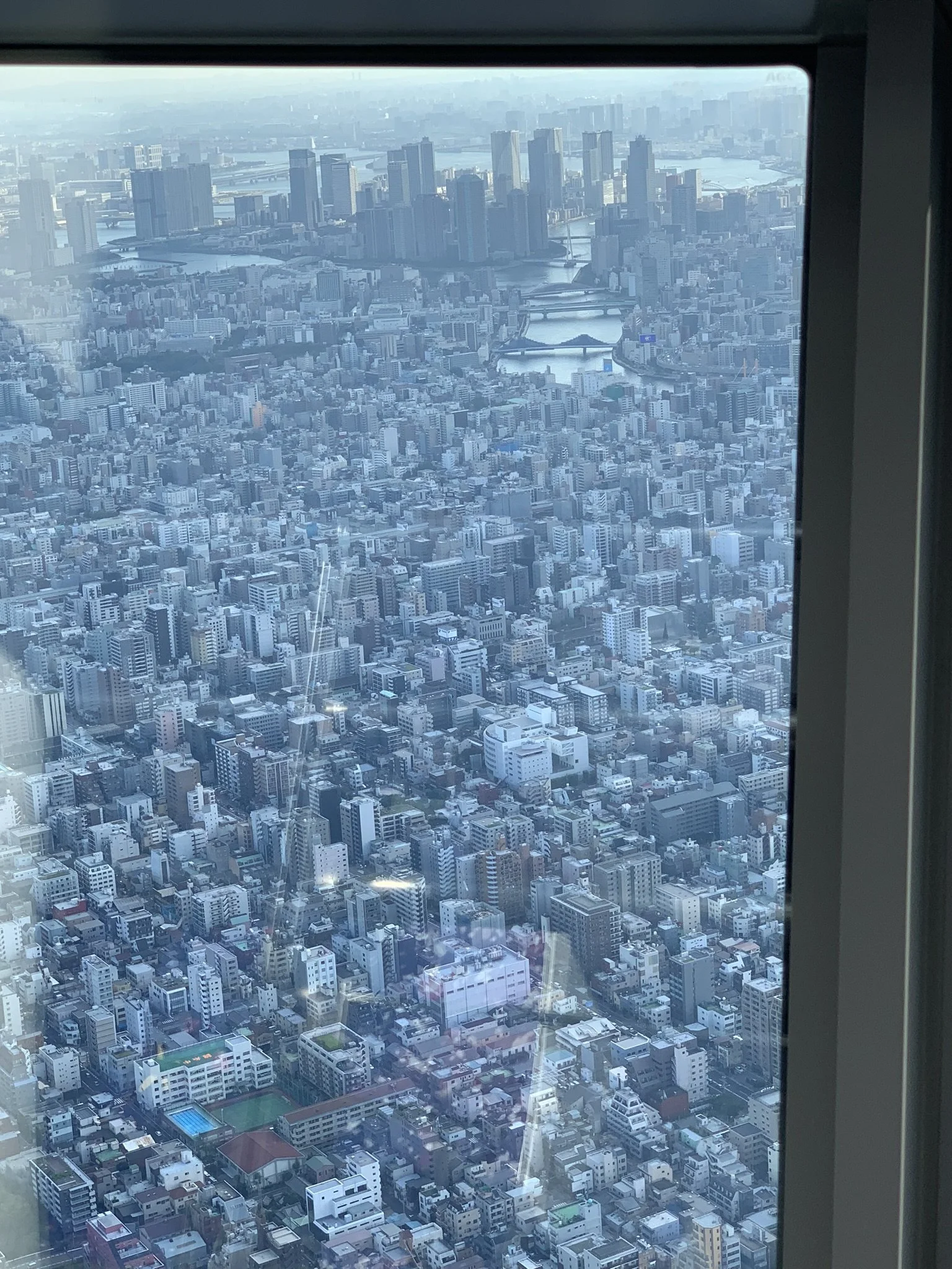 toyoko skyline.jpeg