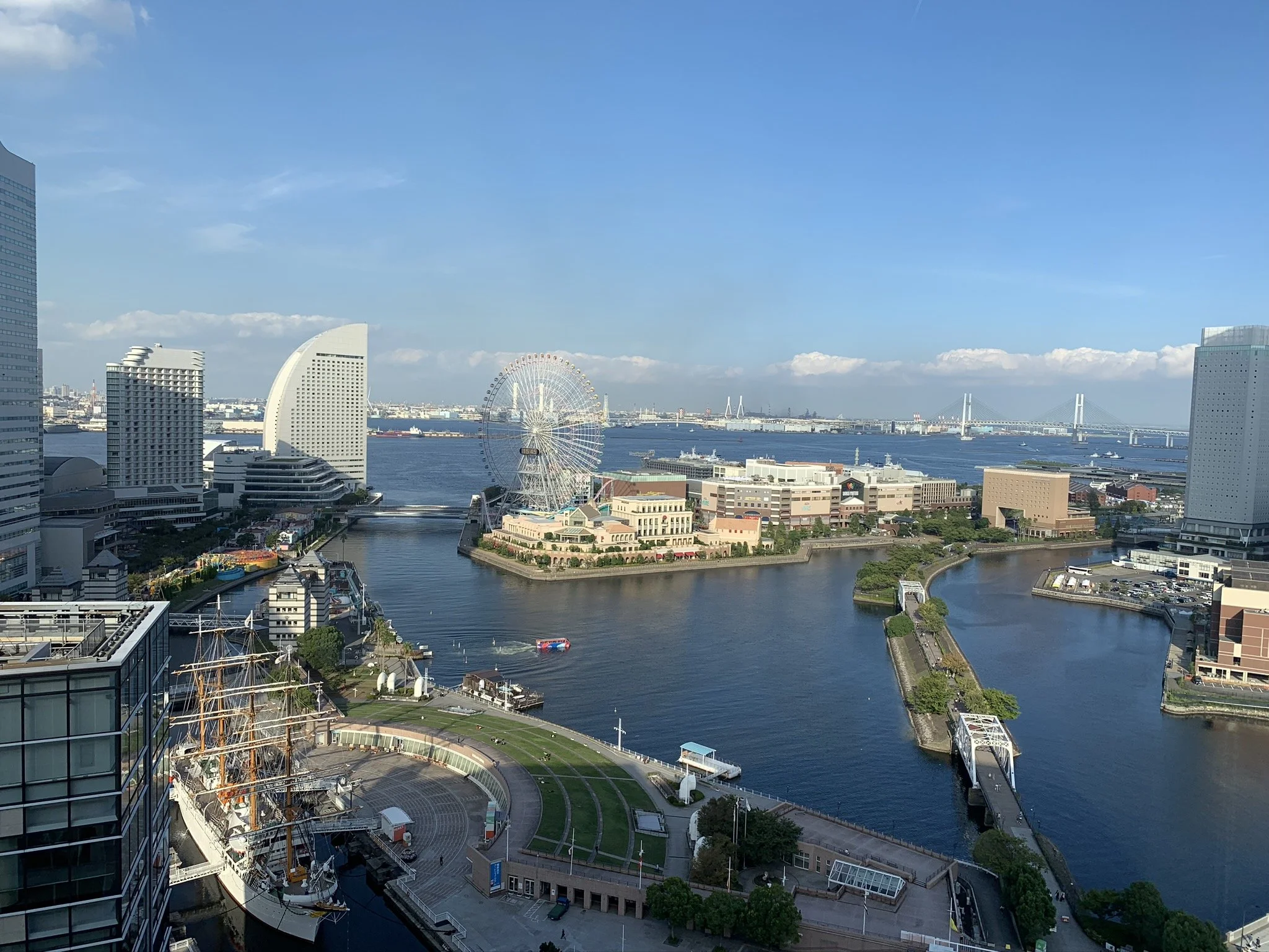 toyoko farris wheel.jpeg