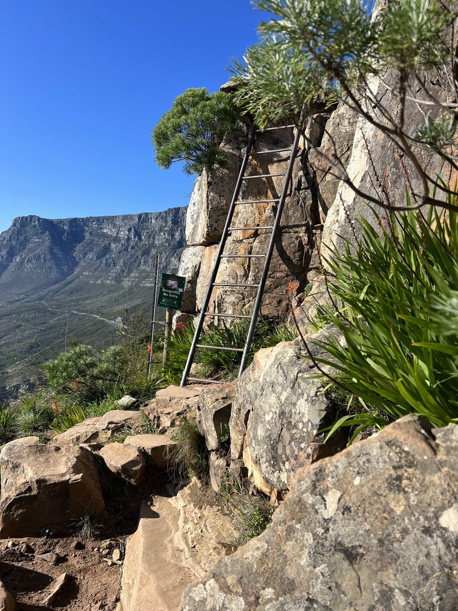 A rocky hillside with a metal ladder leaning against it. There is a green sign with white and red text that reads 'Dangerous No Entry.' Green plants and trees are visible near the rocks, and in the background, there are large mountain cliffs under a clear blue sky.