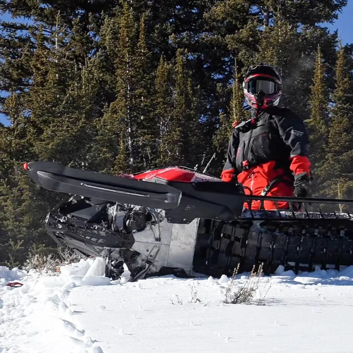 Snowmobile rider in red and black gear standing beside a snowmobile in a snowy evergreen forest