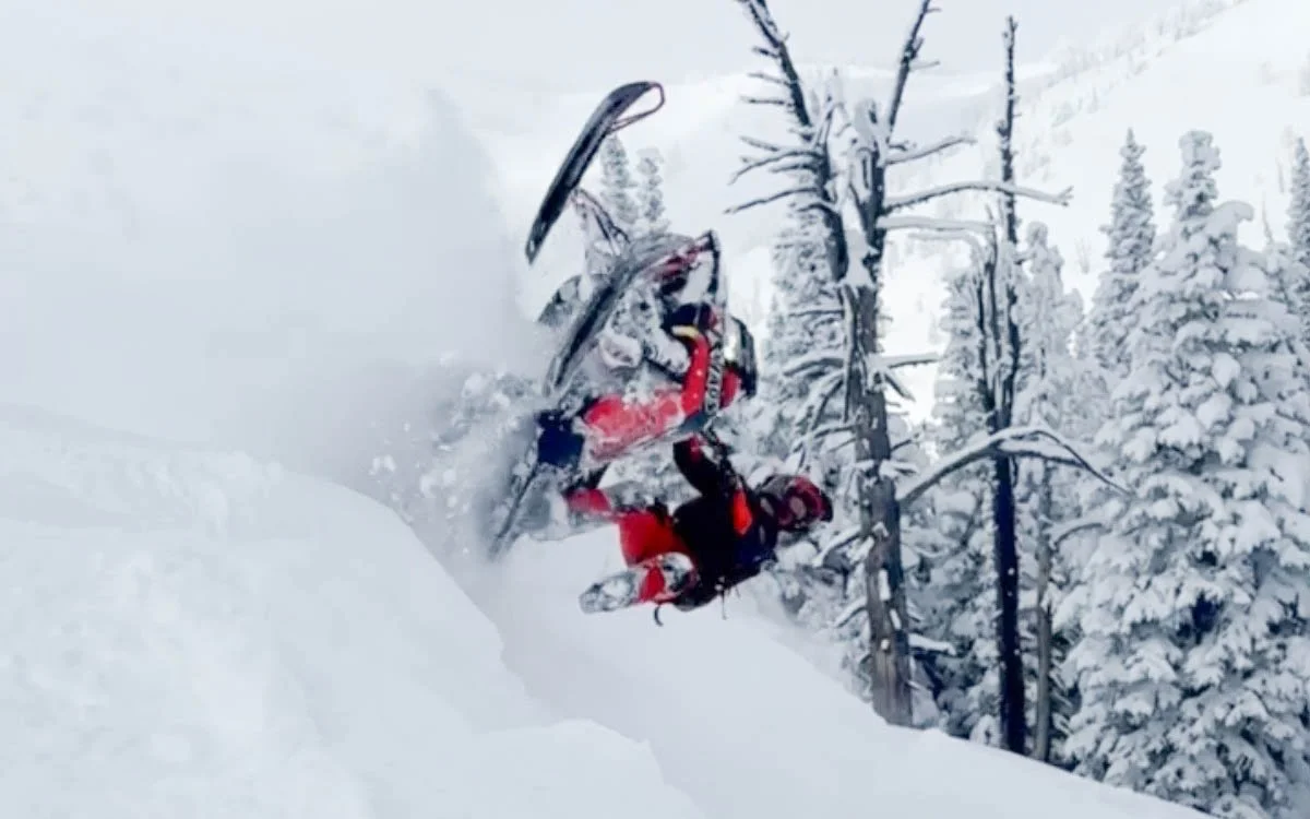 Snowboarder crashing into snow-covered trees in a snowy forest.