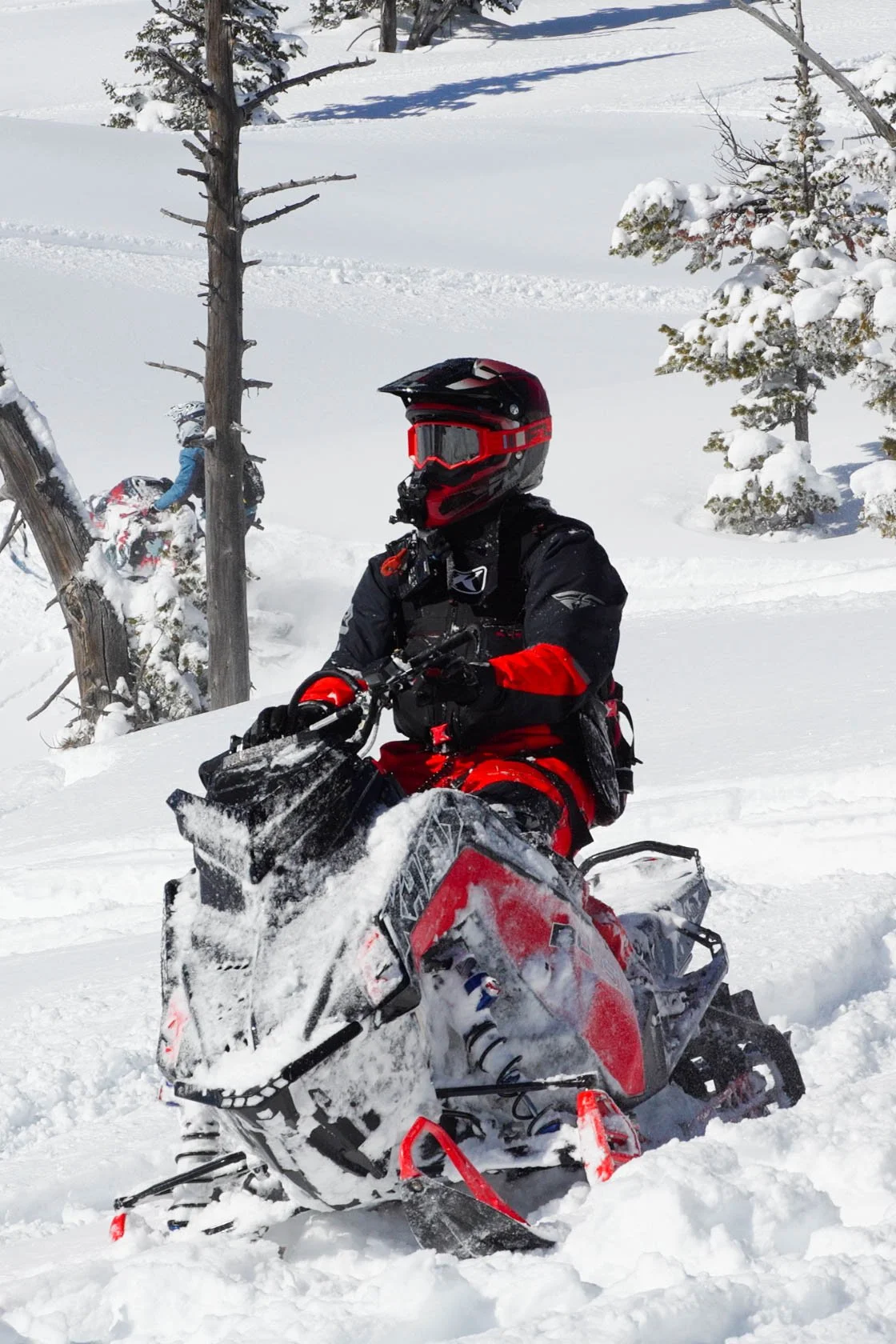 Person wearing a helmet and winter gear riding a snowmobile in a snow-covered forest.