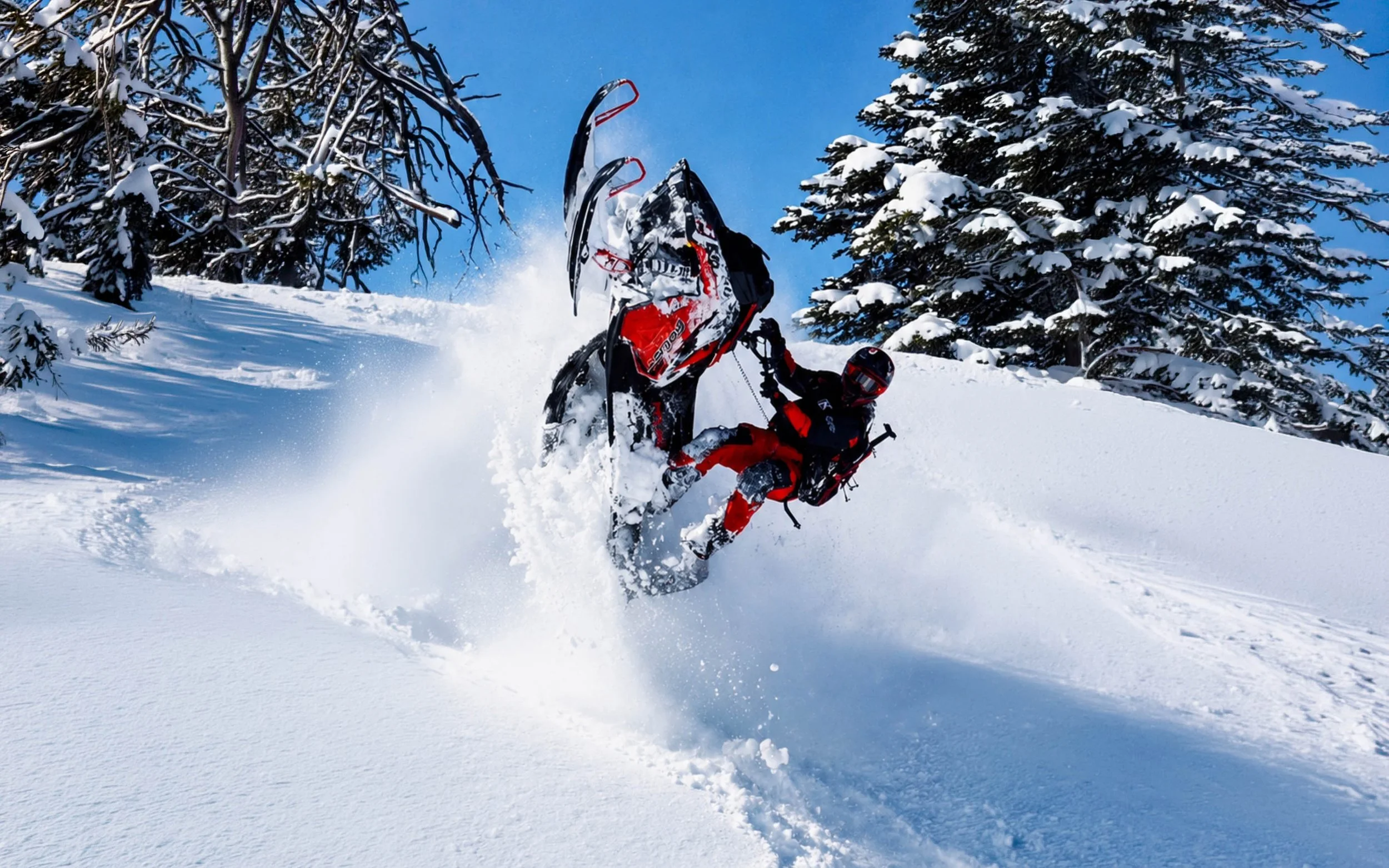 A person in red and black winter gear falling or tumbling while snowboarding in a snowy forest with snow-covered trees and a clear blue sky.
