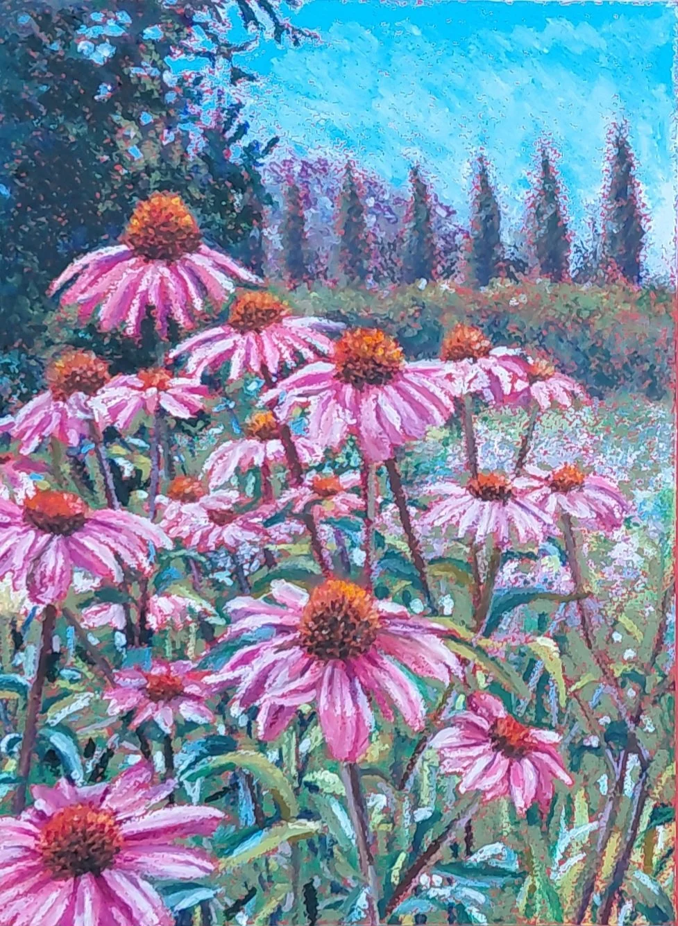 Echinacea - 12 x 9 - Oil Pastels - Framed