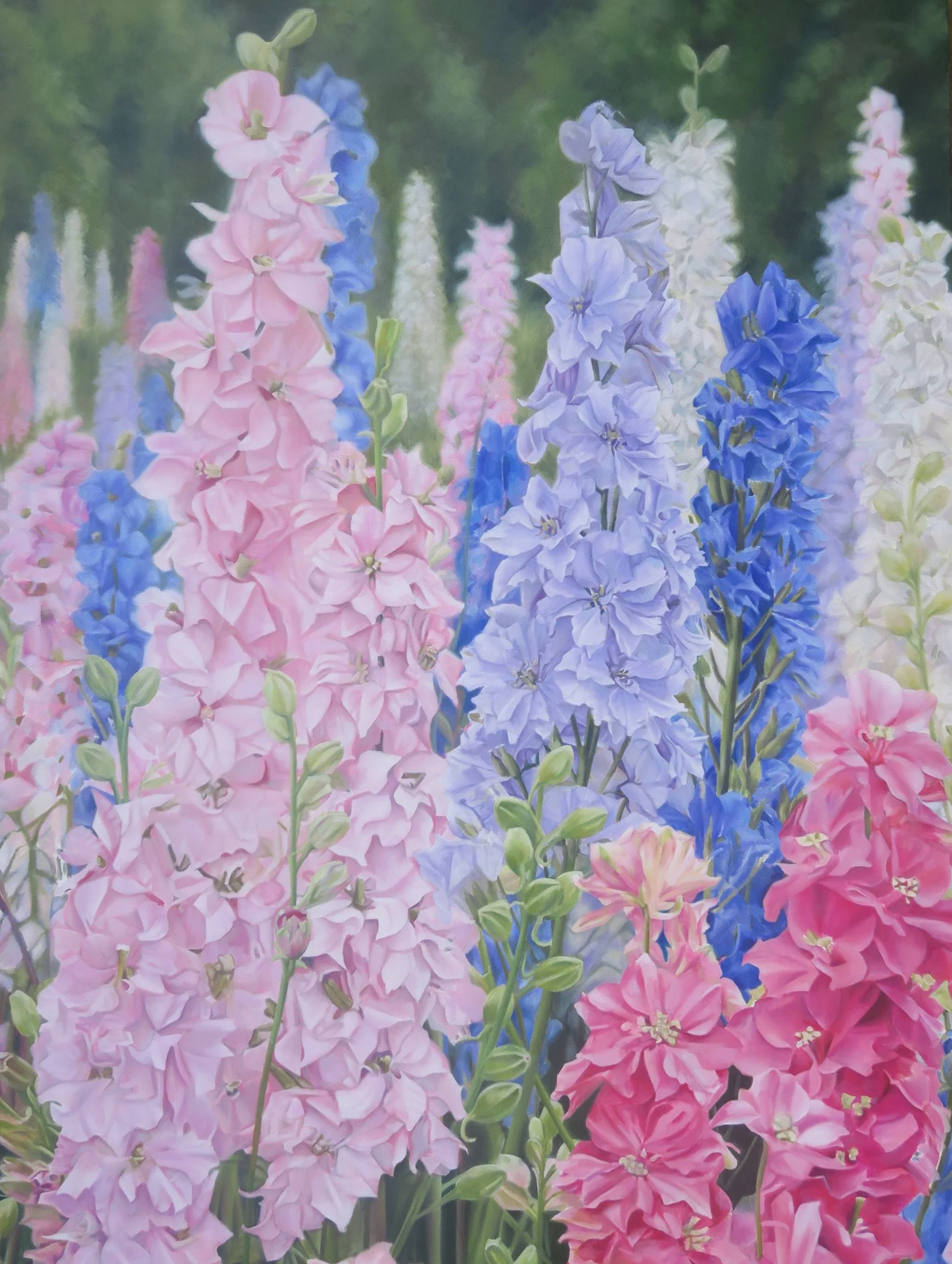 Standing Proud III - Delphiniums - Oils