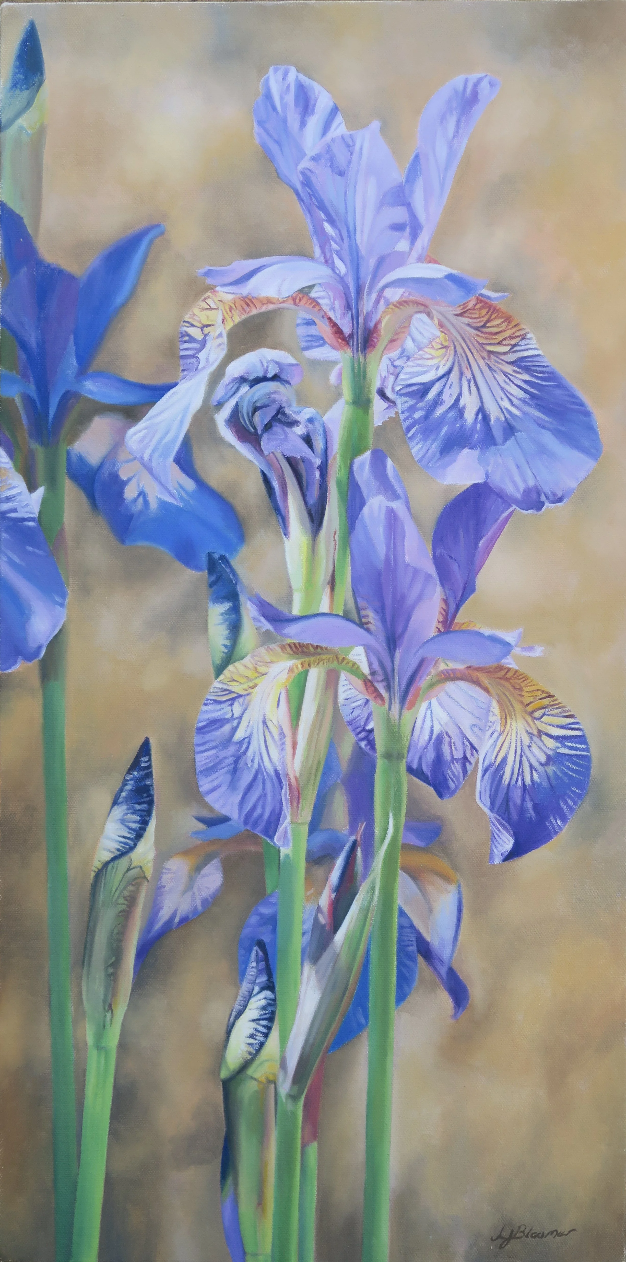 Tropical Night II - 24 x 12 - Oils - Framed