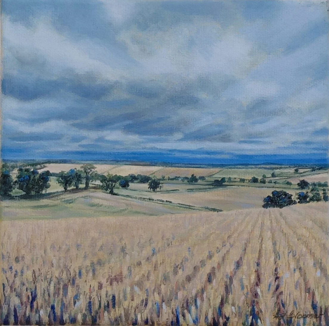 After the harvest - 8 x 8 - Oils - Framed