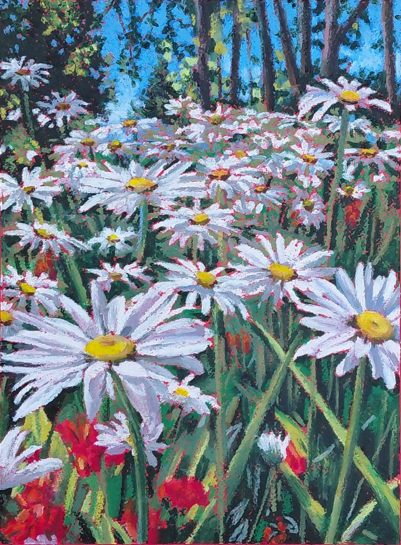 Daisies - 12 x 9 - Oil Pastels - Framed
