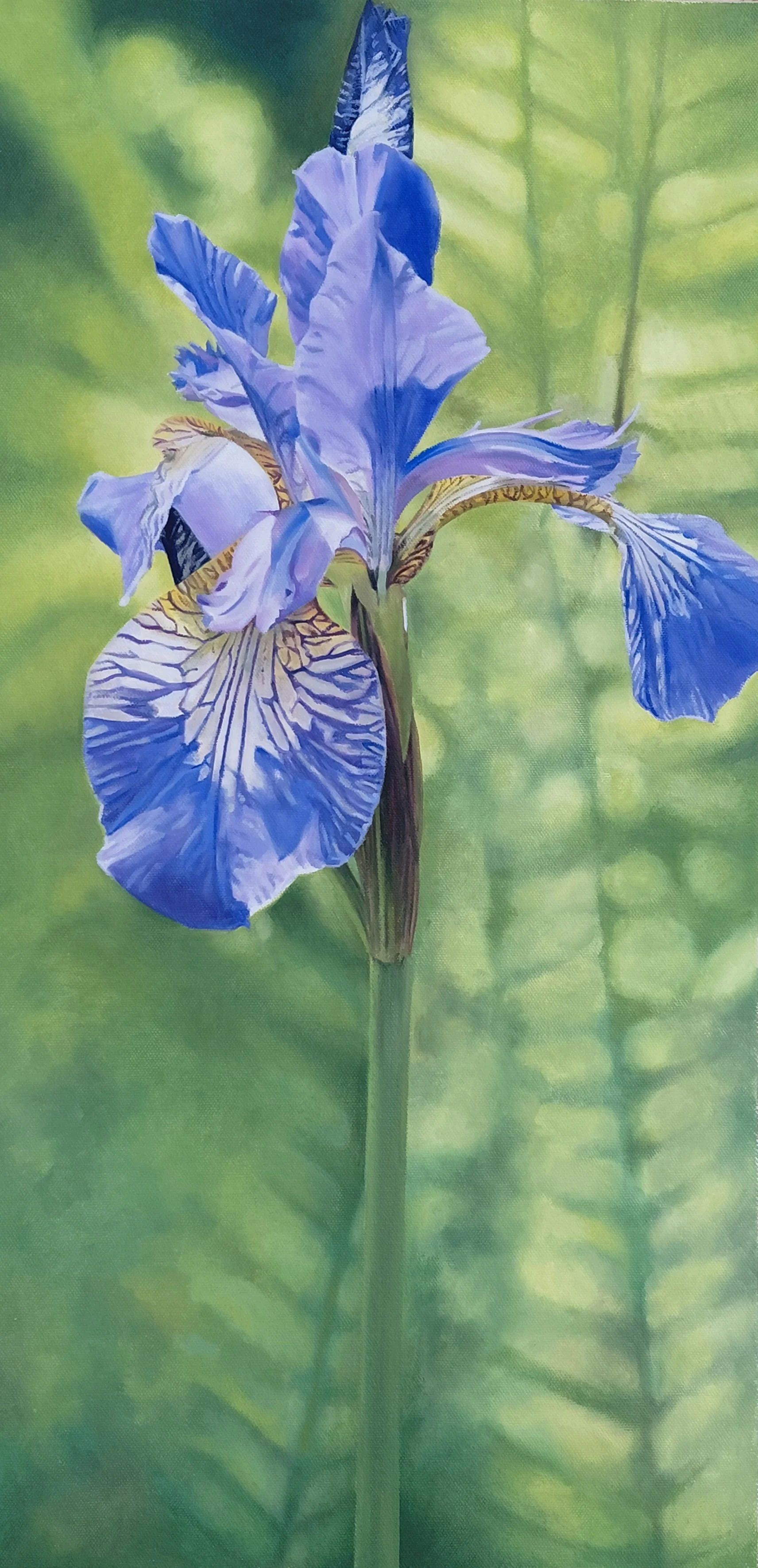 Delicate Soul II - 24 x 12 - Oils - Framed