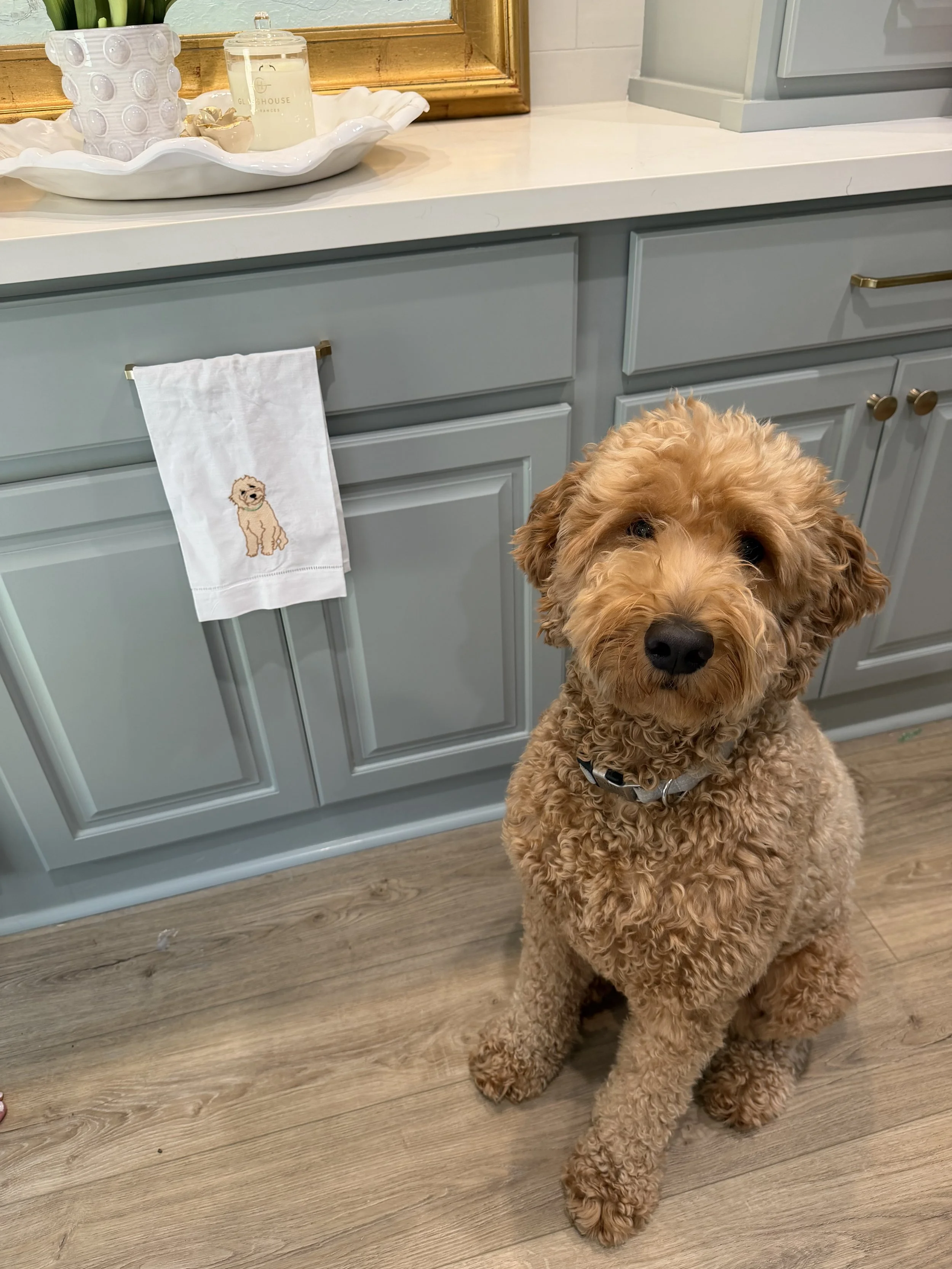A fluffy, curly-haired dog sitting in a kitchen near white cabinets, with a white dish towel hanging from a cabinet handle and a tray holding candles and decorative items on the countertop.