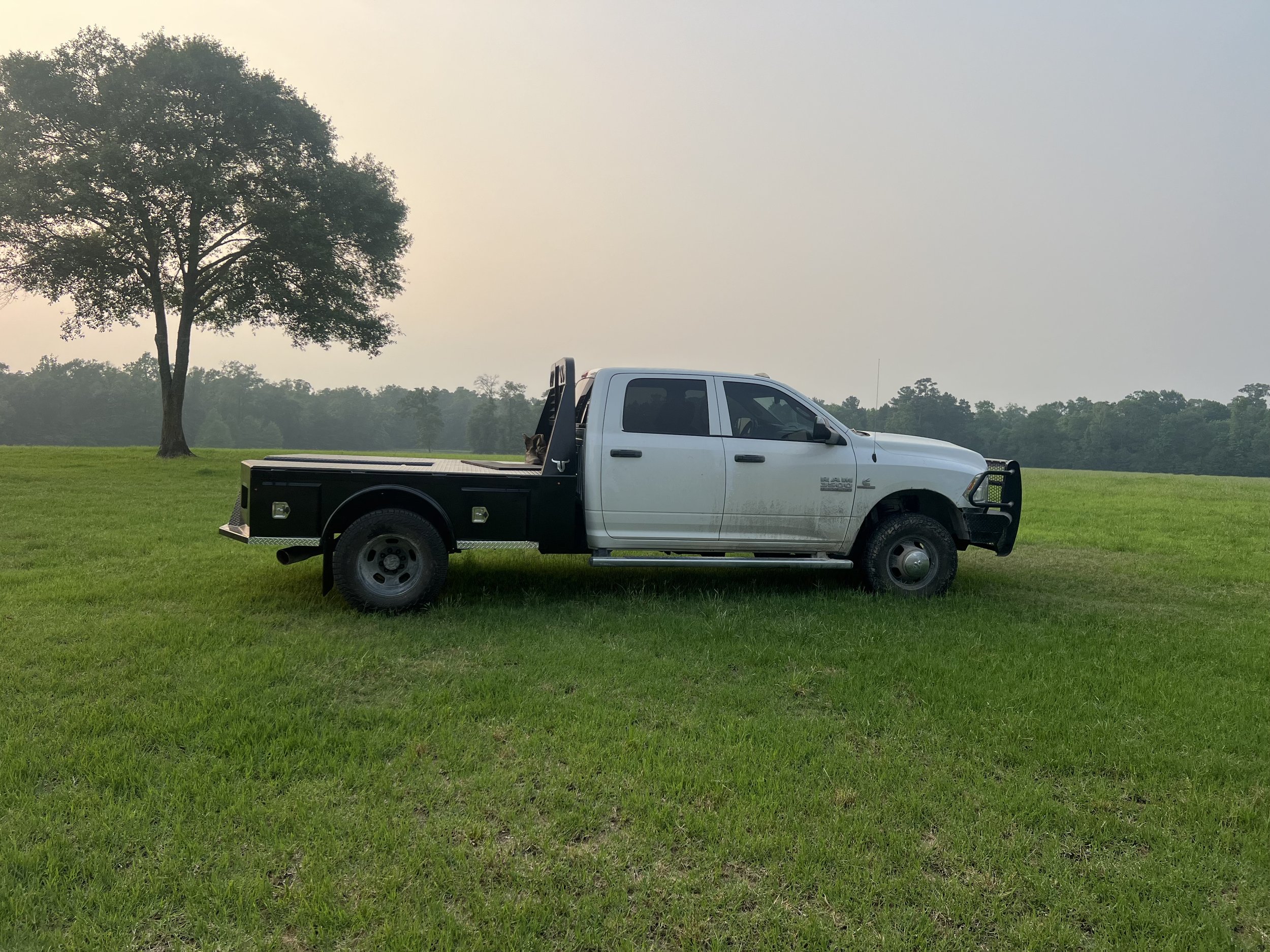 Pick-up truck with tow bed in a country field with an oak tree