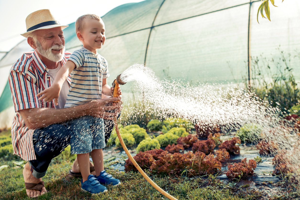 iStock-1050276732.jpg