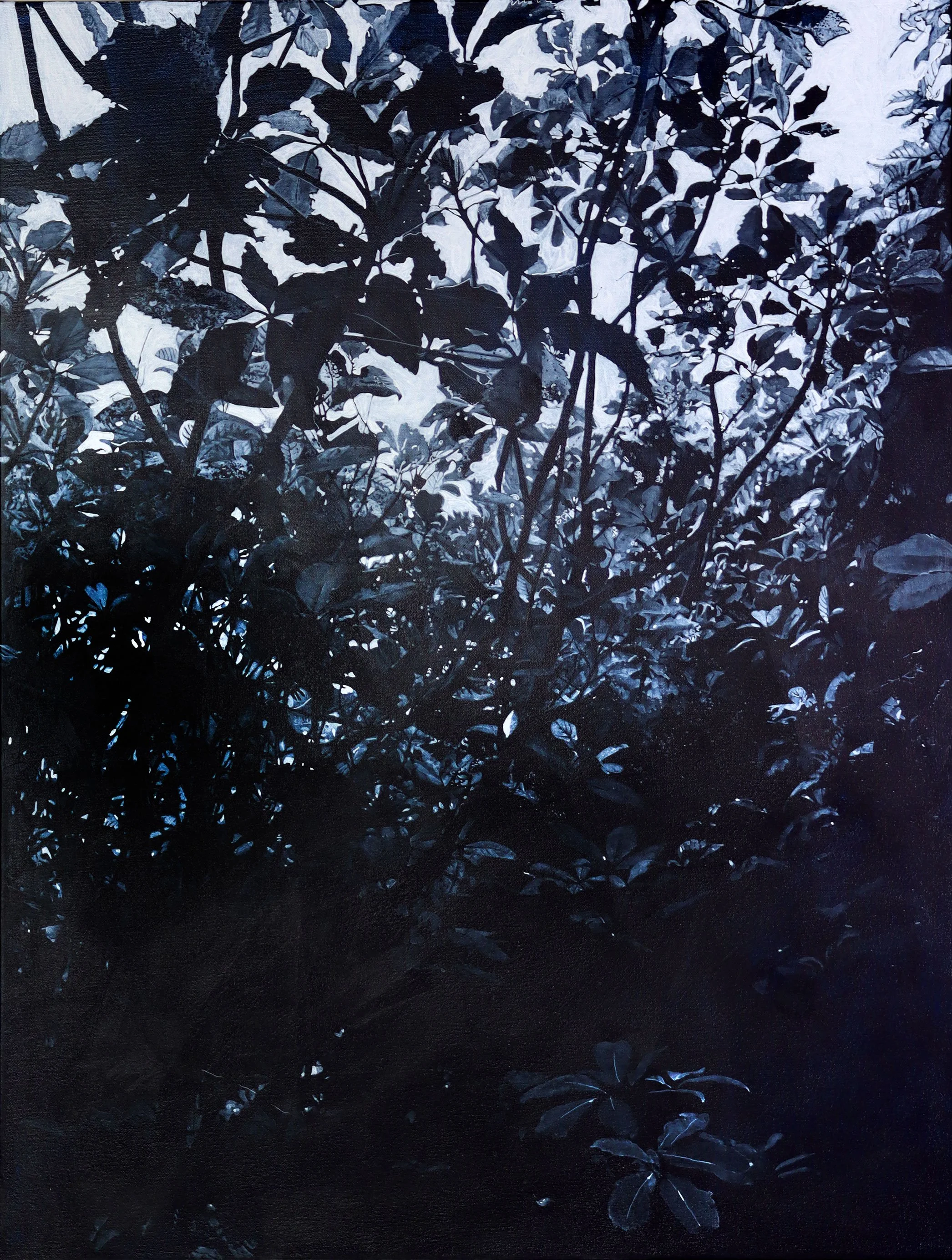 acrylic on canvas, 1016x760mm