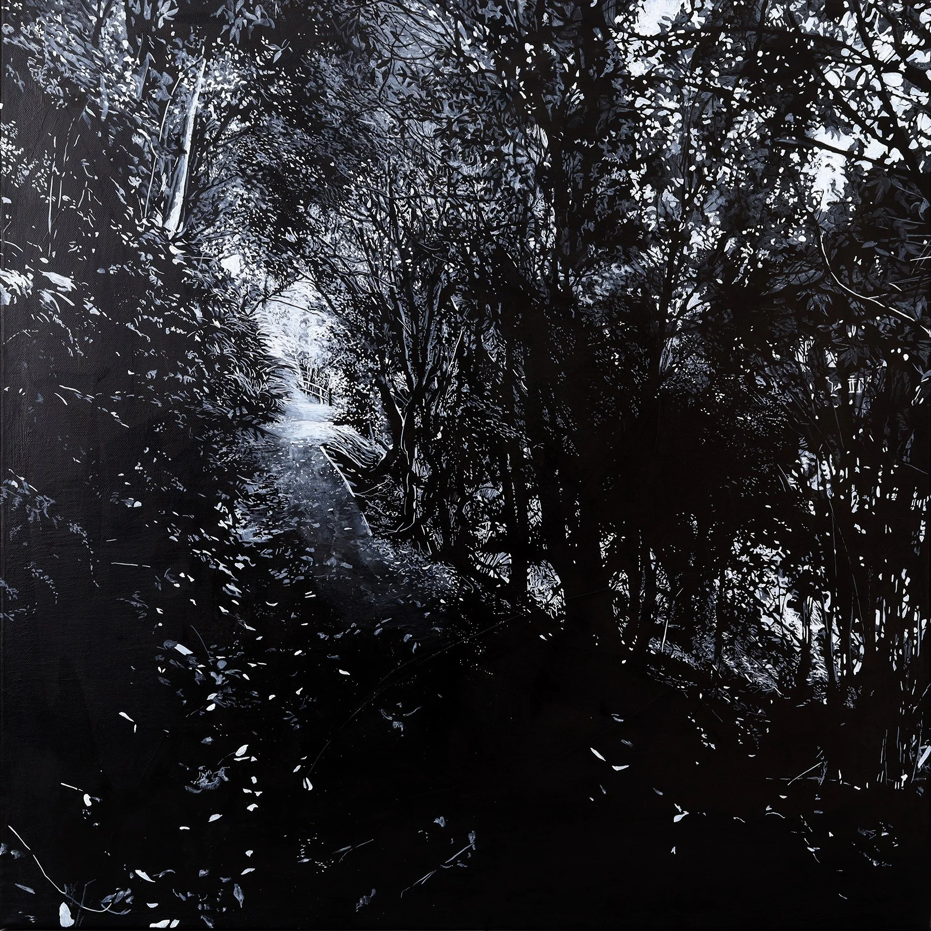 A dense canopy of trees with sunlight filtering through leaves and branches, creating a dappled light effect on the pathway below.
