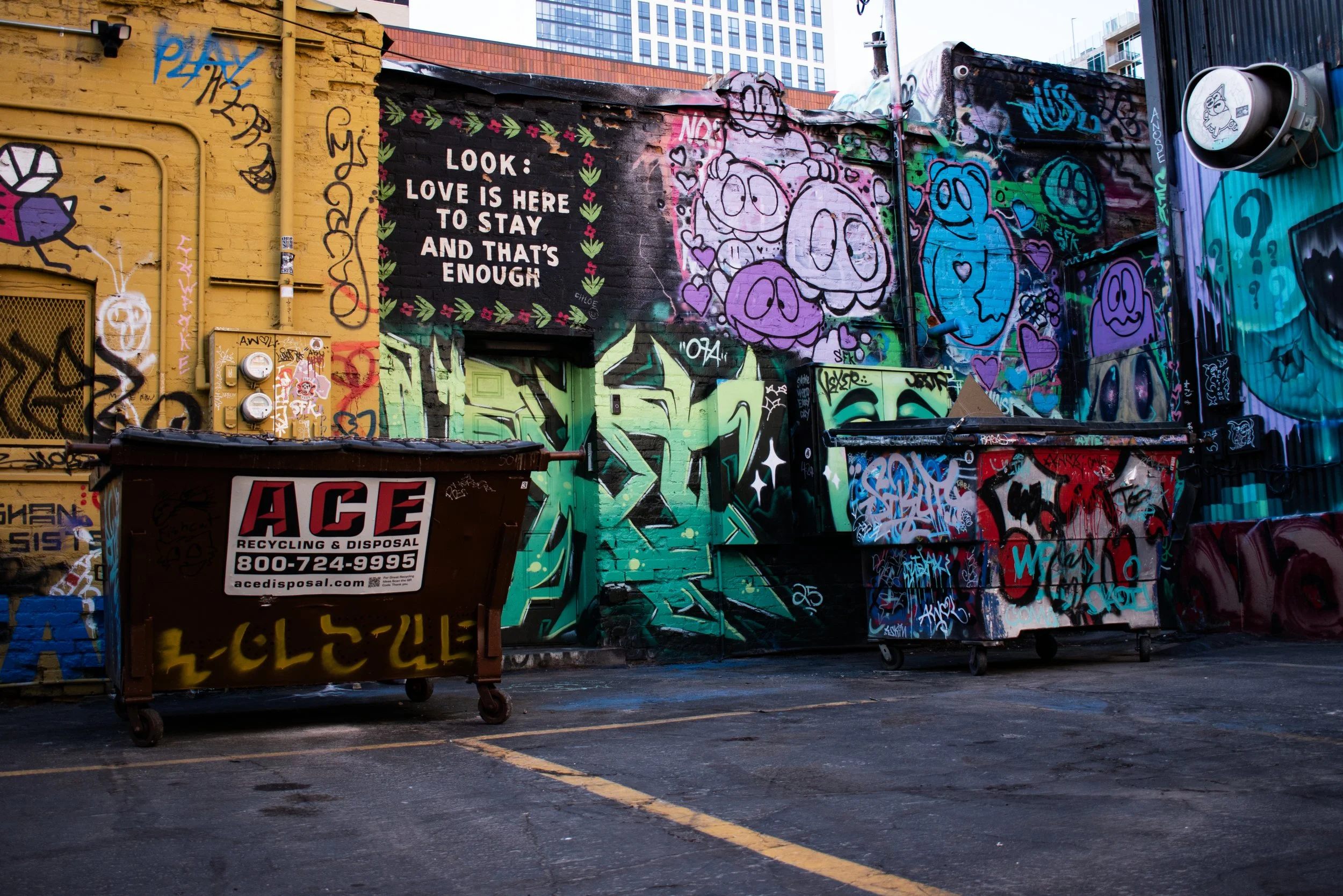 DSC_0703.jpg