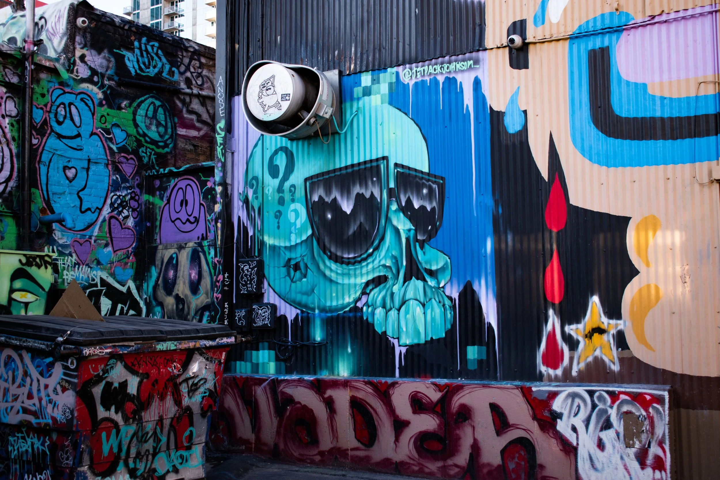 DSC_0700.jpg