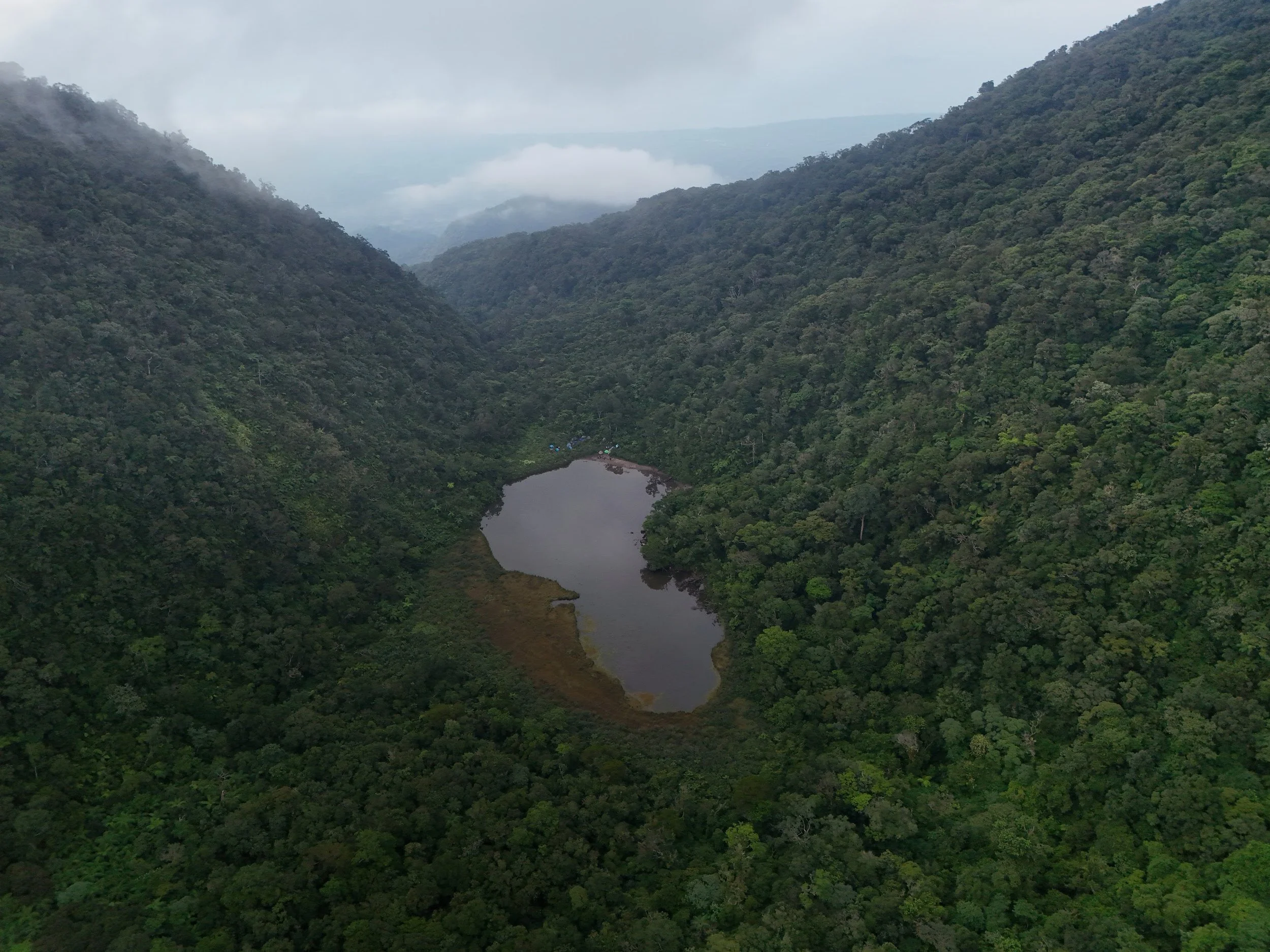 dji_fly_20260607_064412_0812_1780786022598_photo.jpg