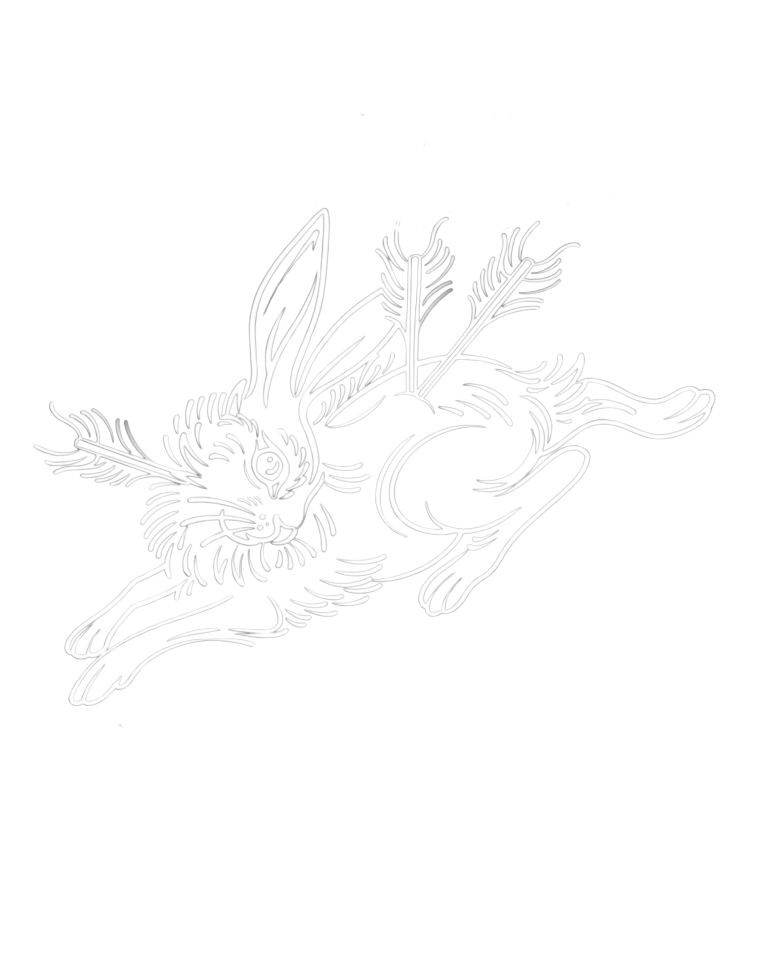 Illuminated neon sign of a scorpion on a black background.