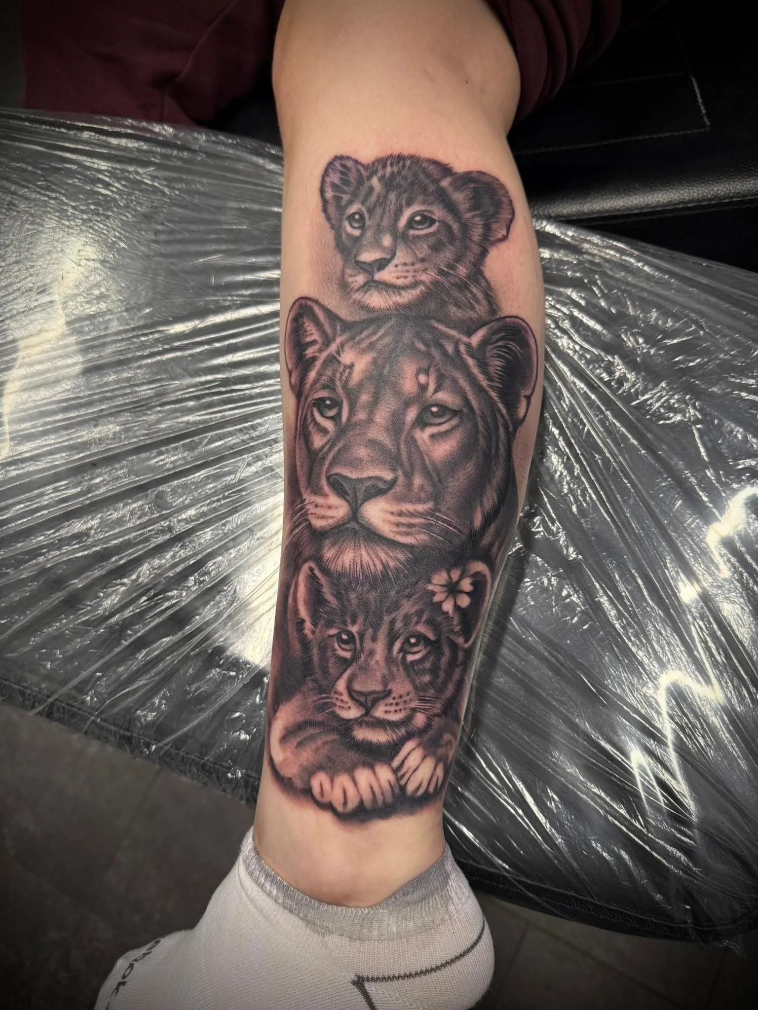 A black and gray realistic tattoo of three tiger cubs on a person's forearm.