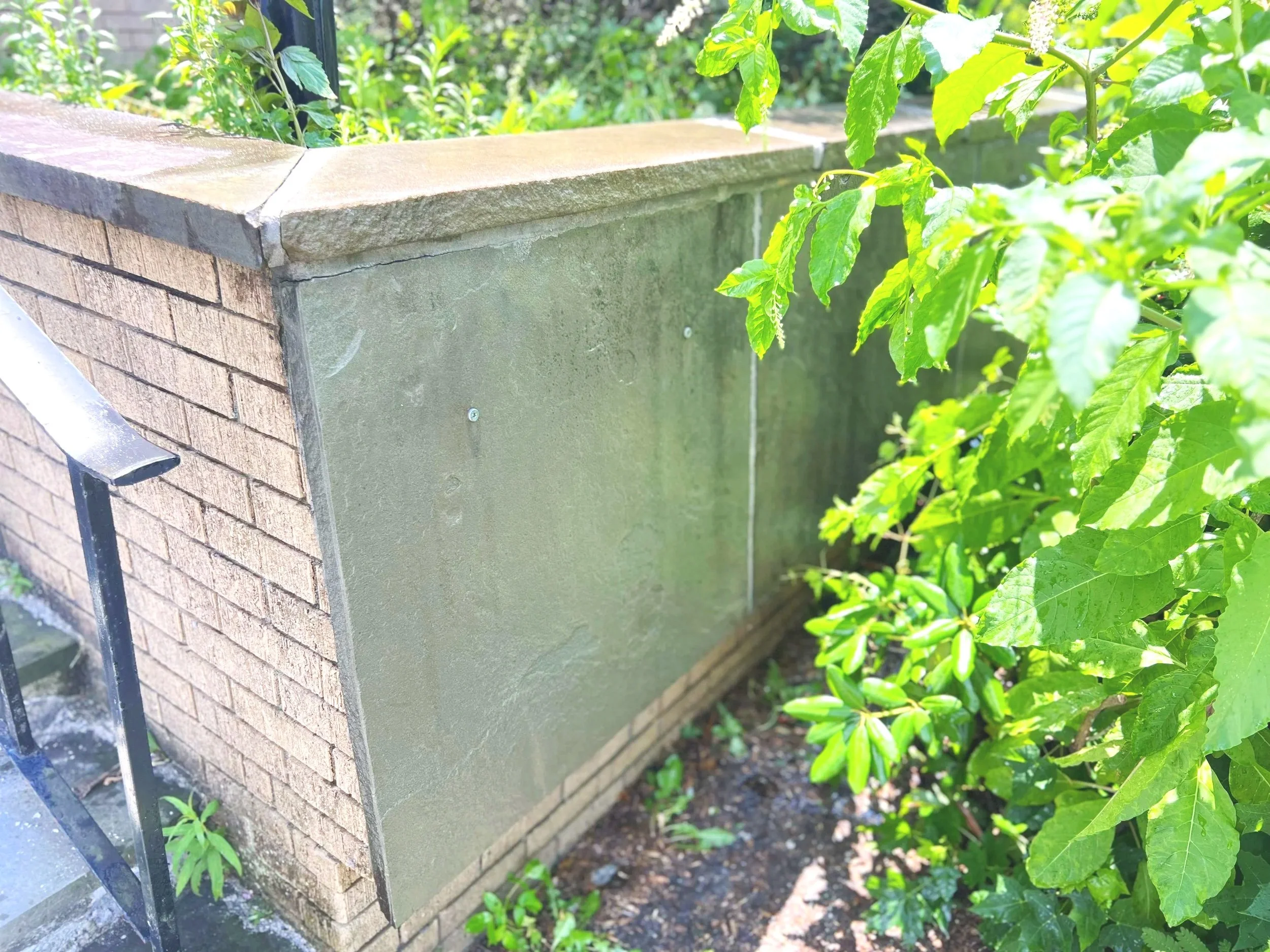 after-southwestwall-dry-portrait.jpg