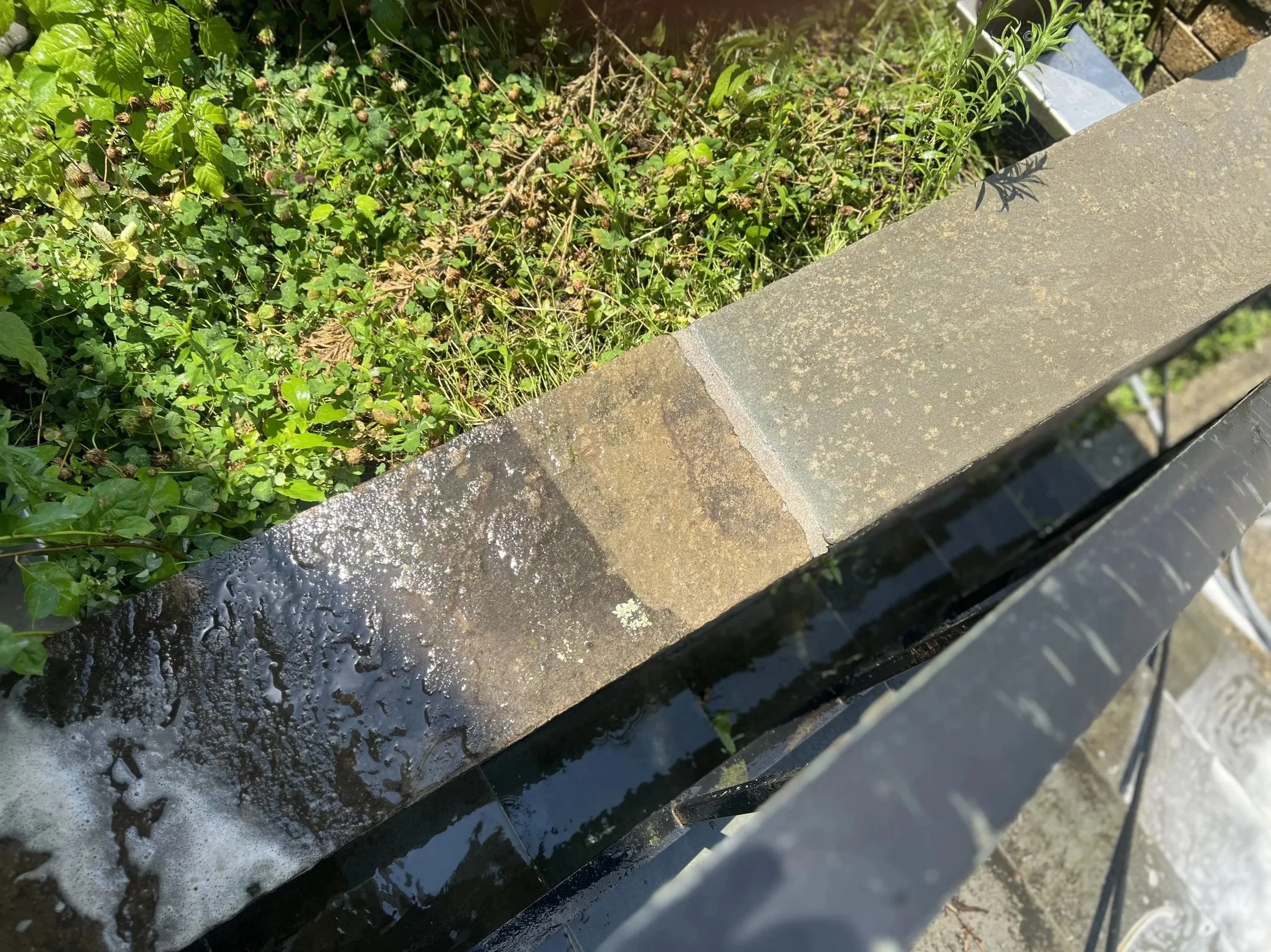 during-ledge-sunny.jpg