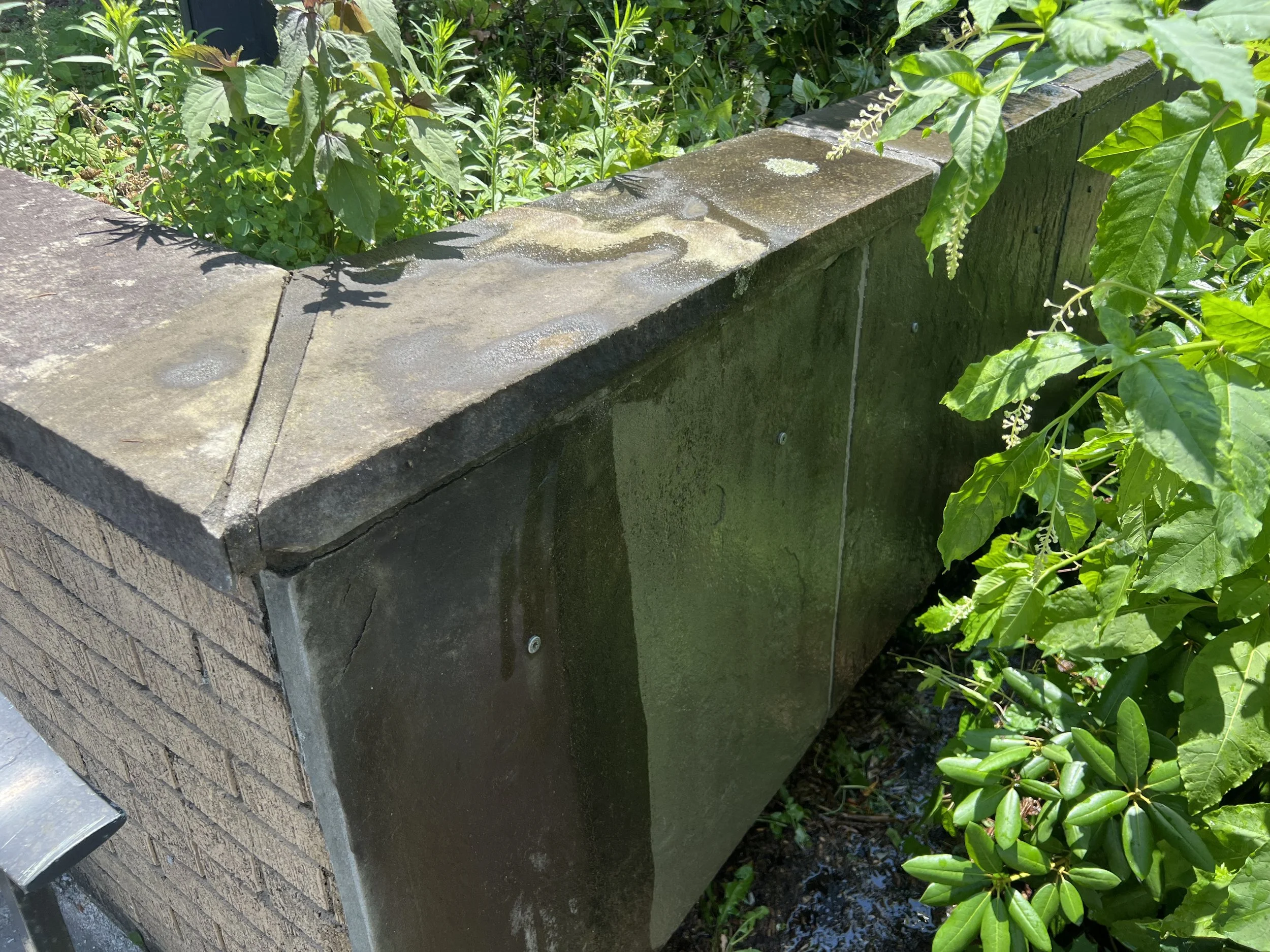 mid-sunny-southwestcorner.jpg