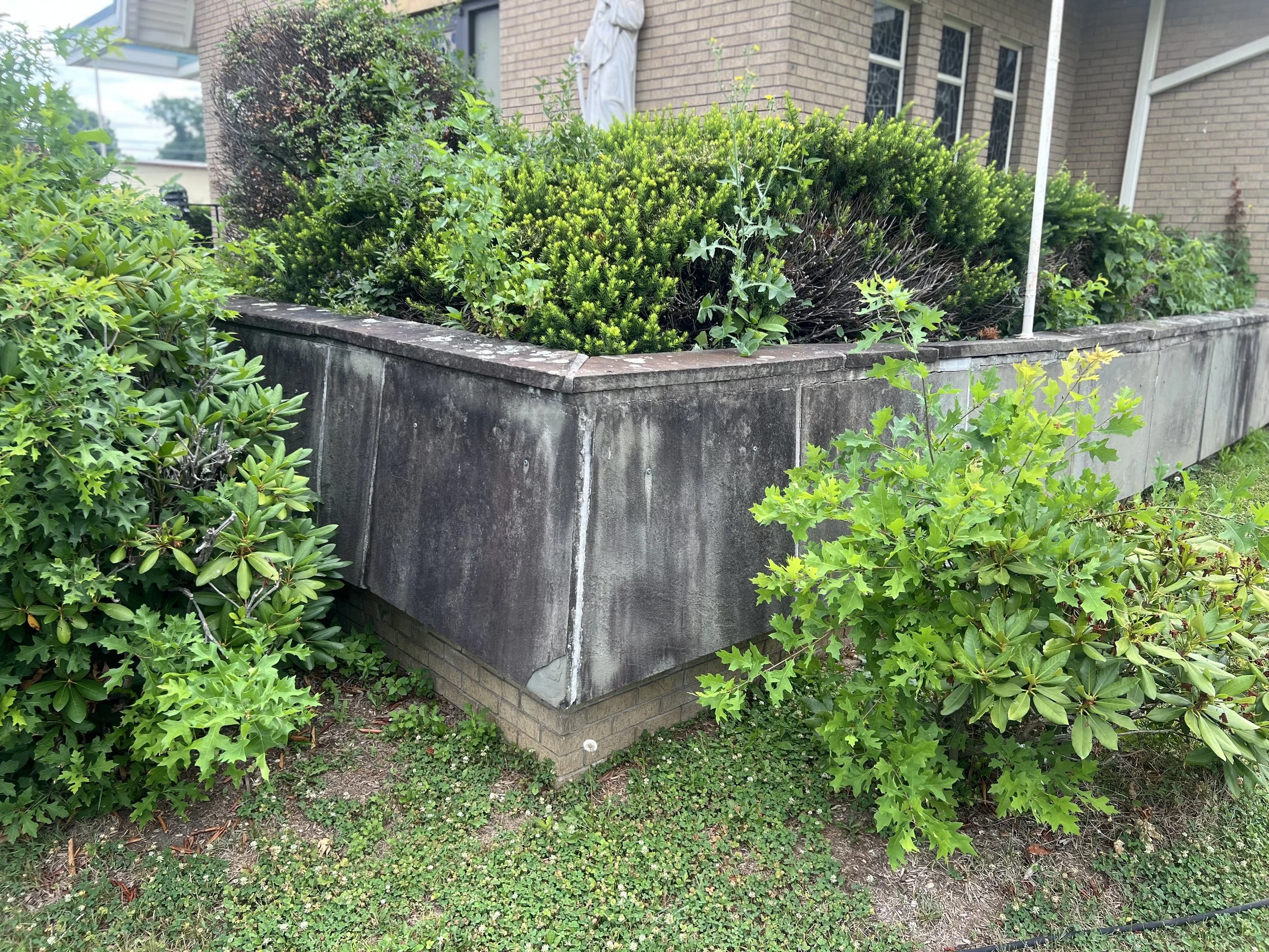 Before-southwestcorner2.jpg