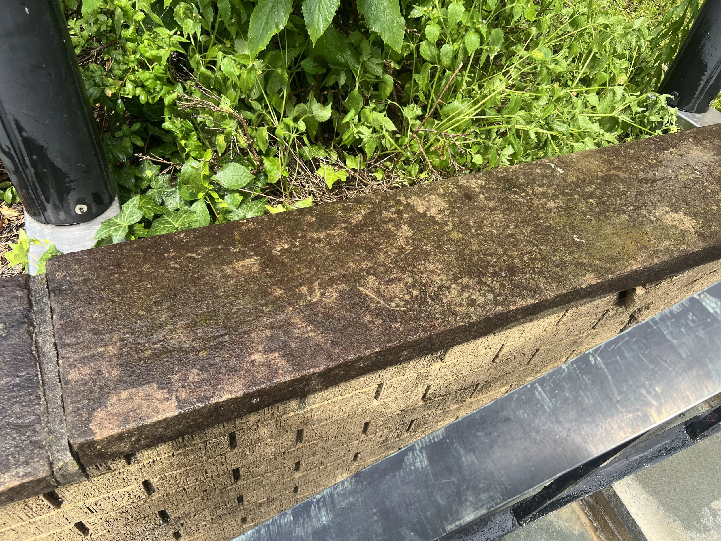 north-ledge-steps.jpg