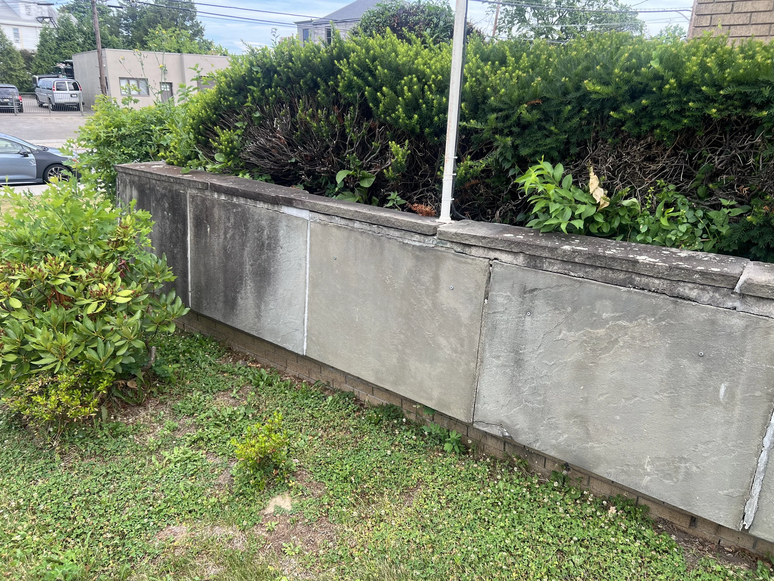 Before-Southwall-bush.jpg