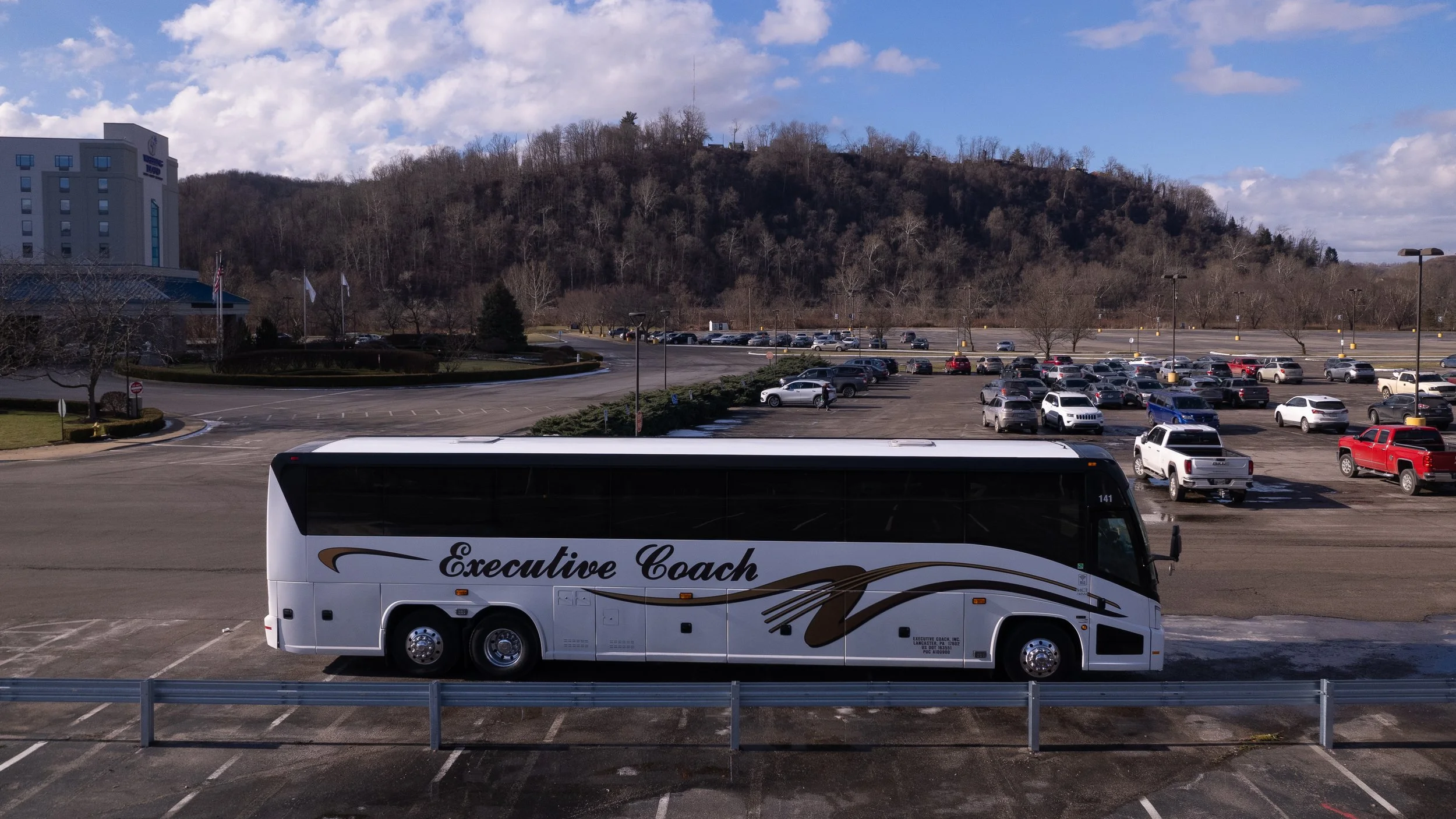 Custom Aerial Image: Executive Coach