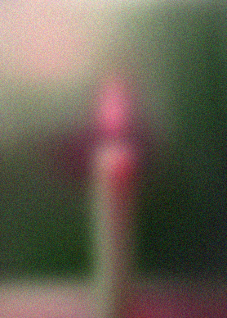 mystery1 copy.png