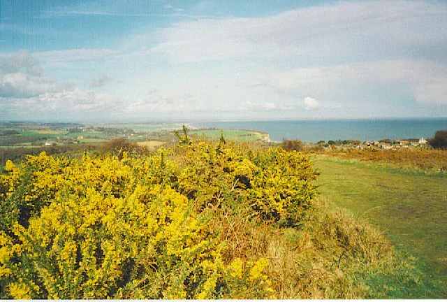 A landscape with green bushes in the foreground, a grassy field, and a distant coastline under a partly cloudy sky.