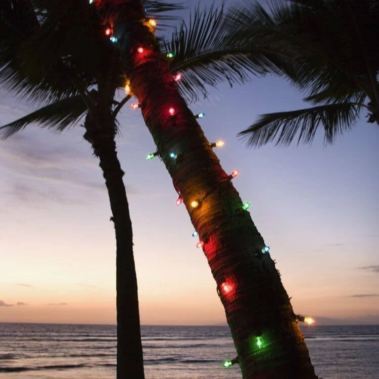 A palm tree decorated with colorful Christmas lights at sunset on the beach.