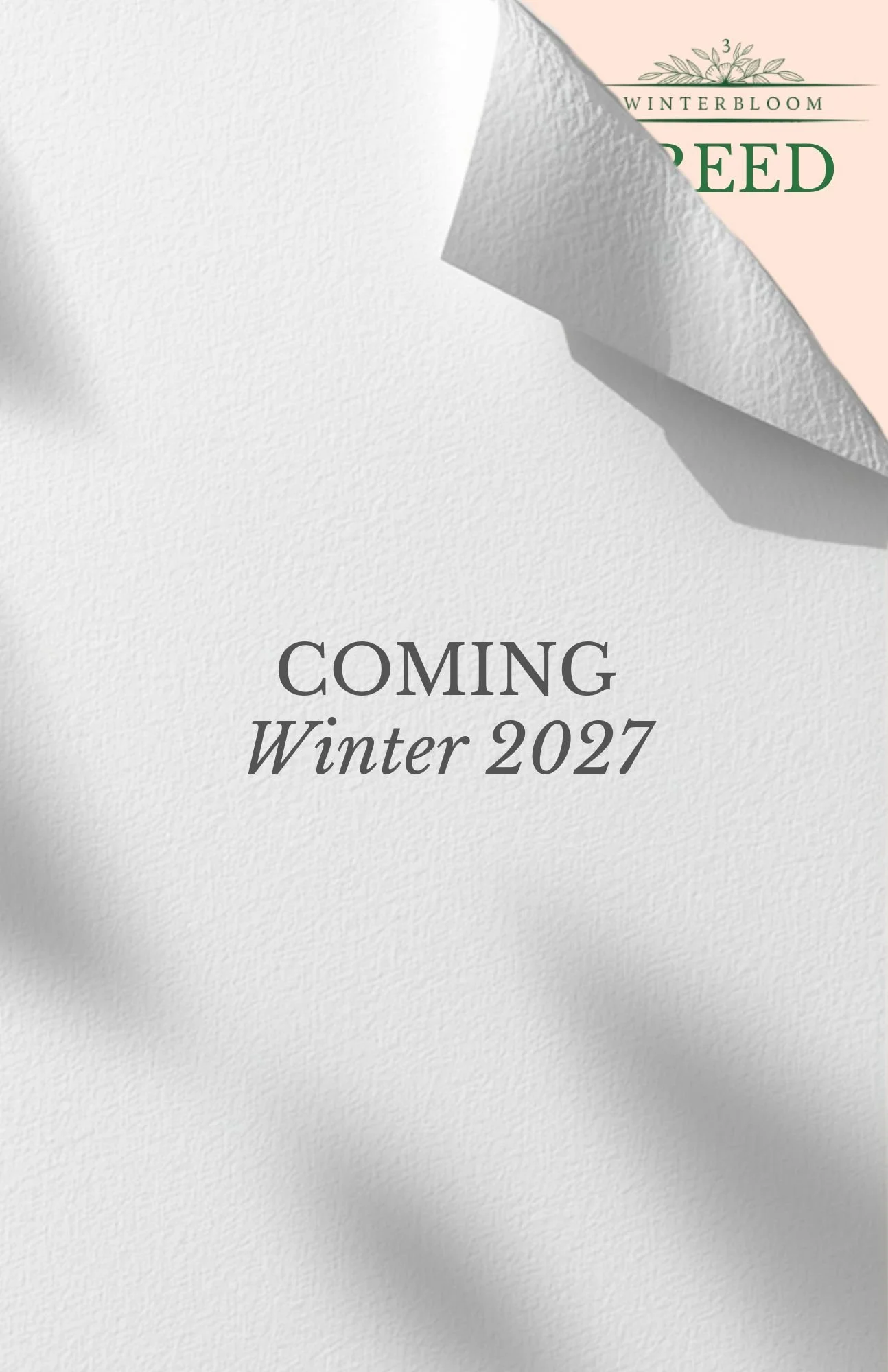 Announcement poster with a textured white background, revealing a partially covered label with green text that reads "Winterbloom Seed" and a floral design. The text "Coming Winter 2026" is printed below in black and gray fonts.
