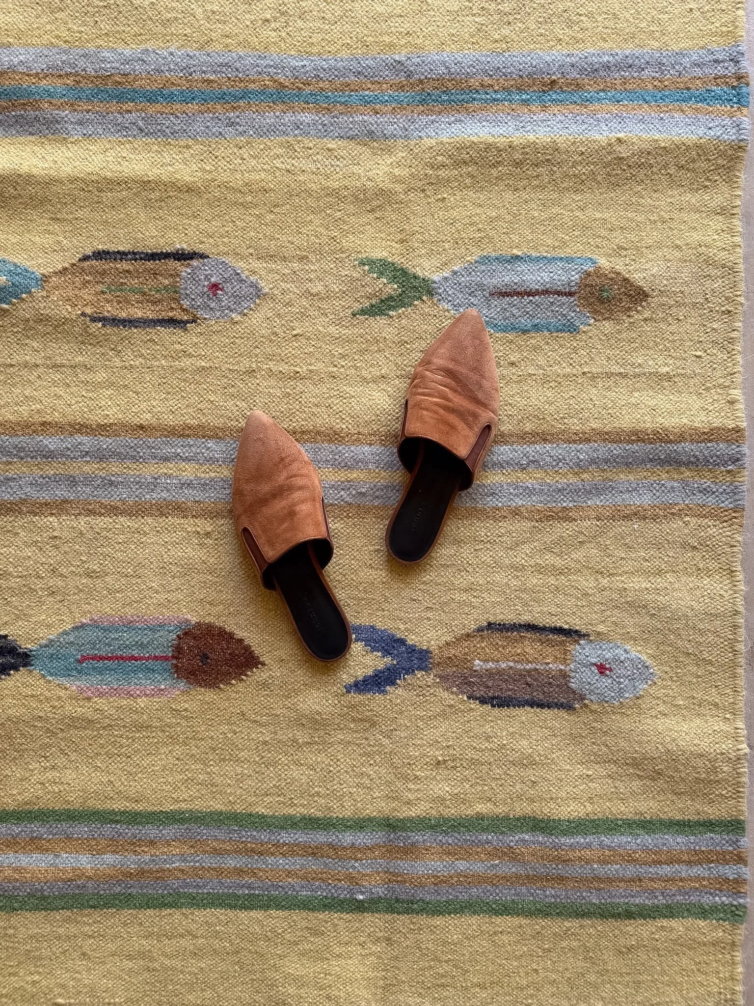 3'x5' | Fish Rug