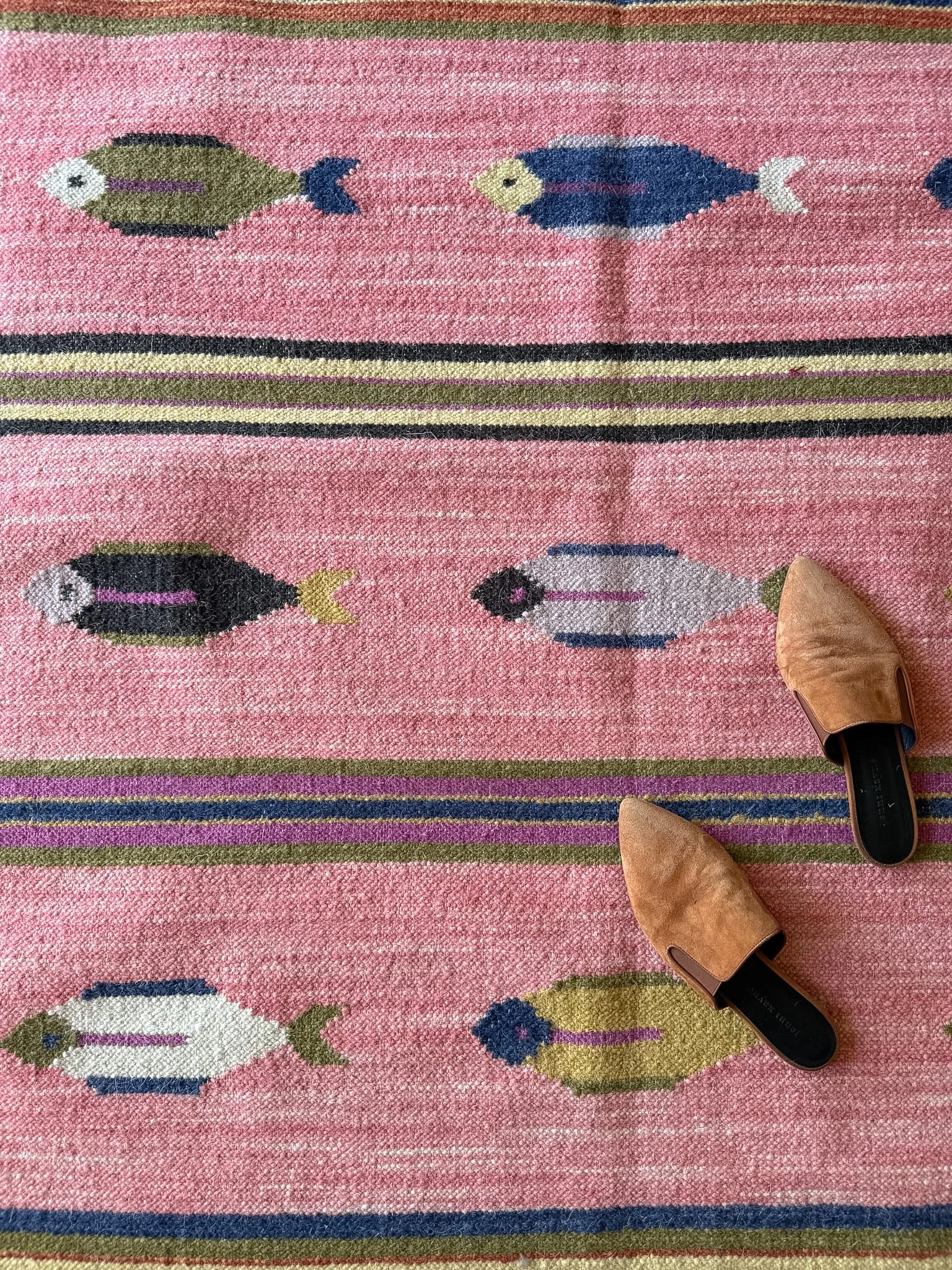 4'x6' | Fish Rug