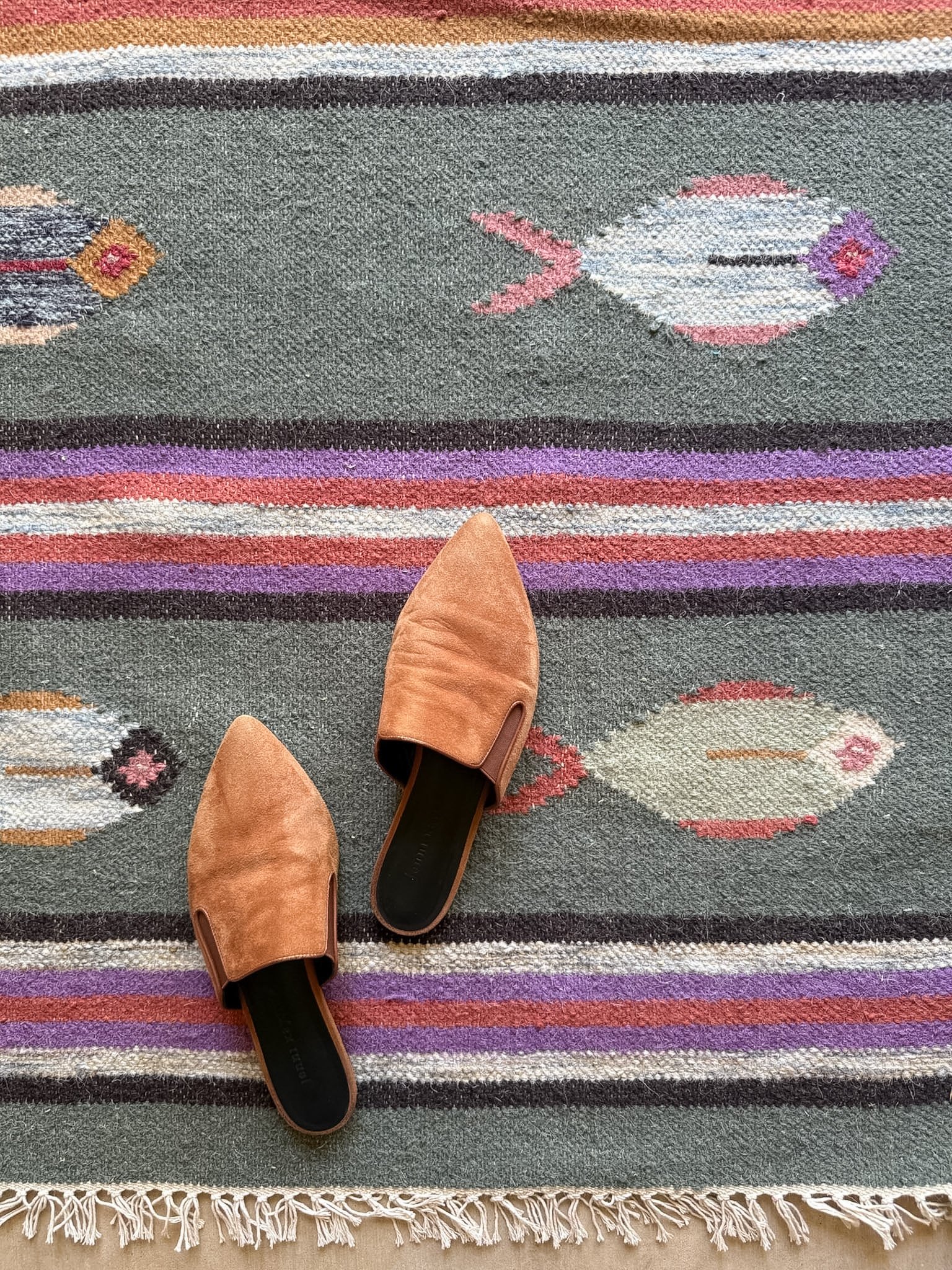 3'x5' | Fish Rug