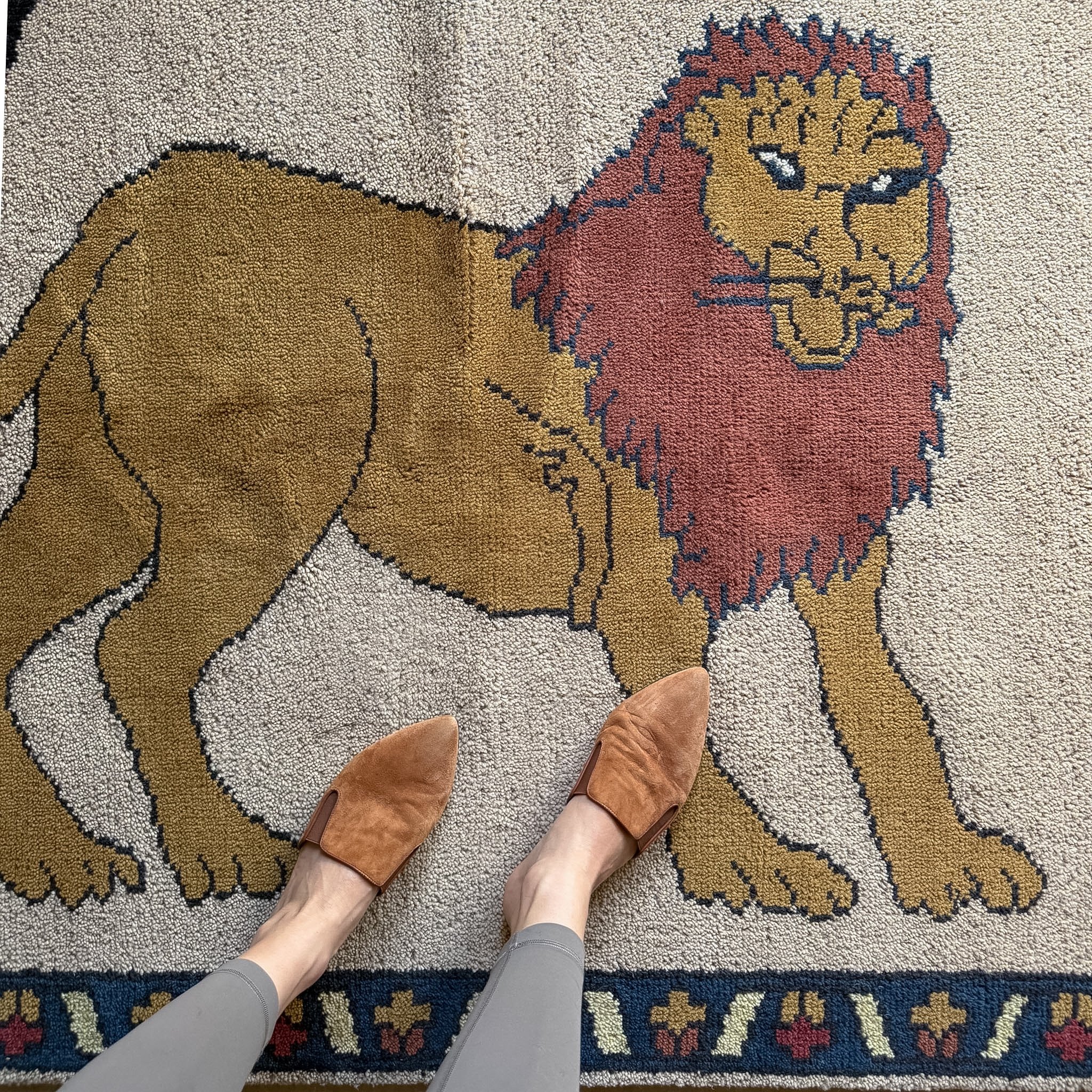 4'x6' | Pictorial Area Rug
