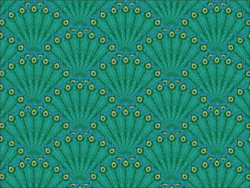 Peacock Scallop 1.jpg