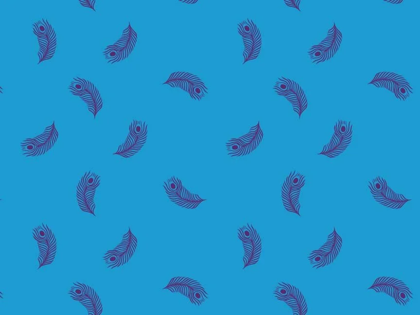 Falling Feathers Blender 2.jpg