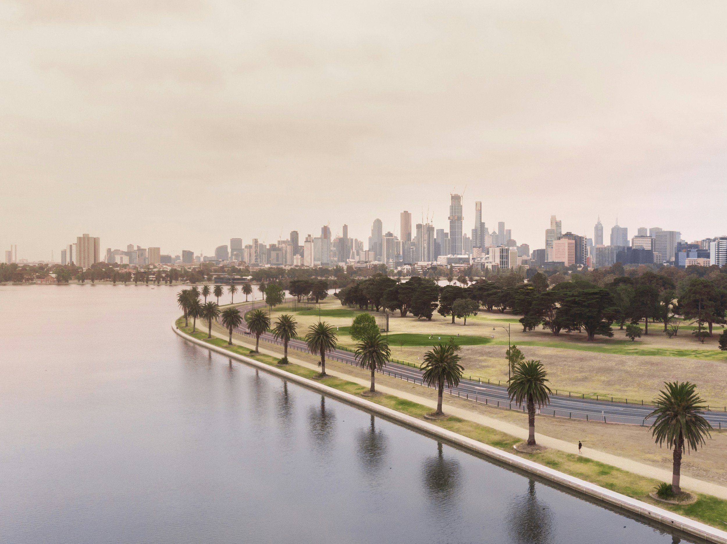 A city skyline with tall buildings viewed from a park next to a body of water, with trees lining the park and a road running alongside.