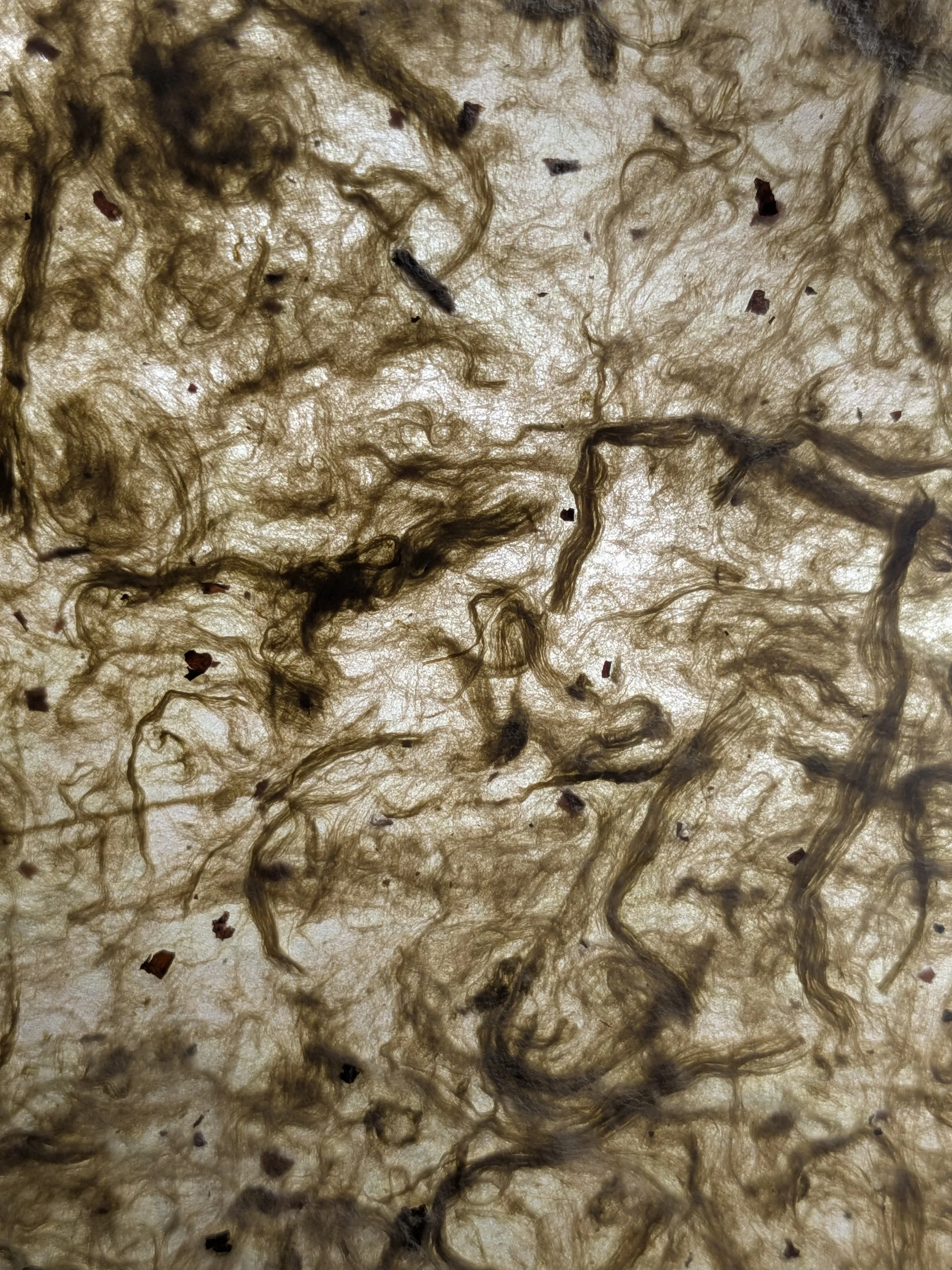 PXL_20260530_005243502.jpg